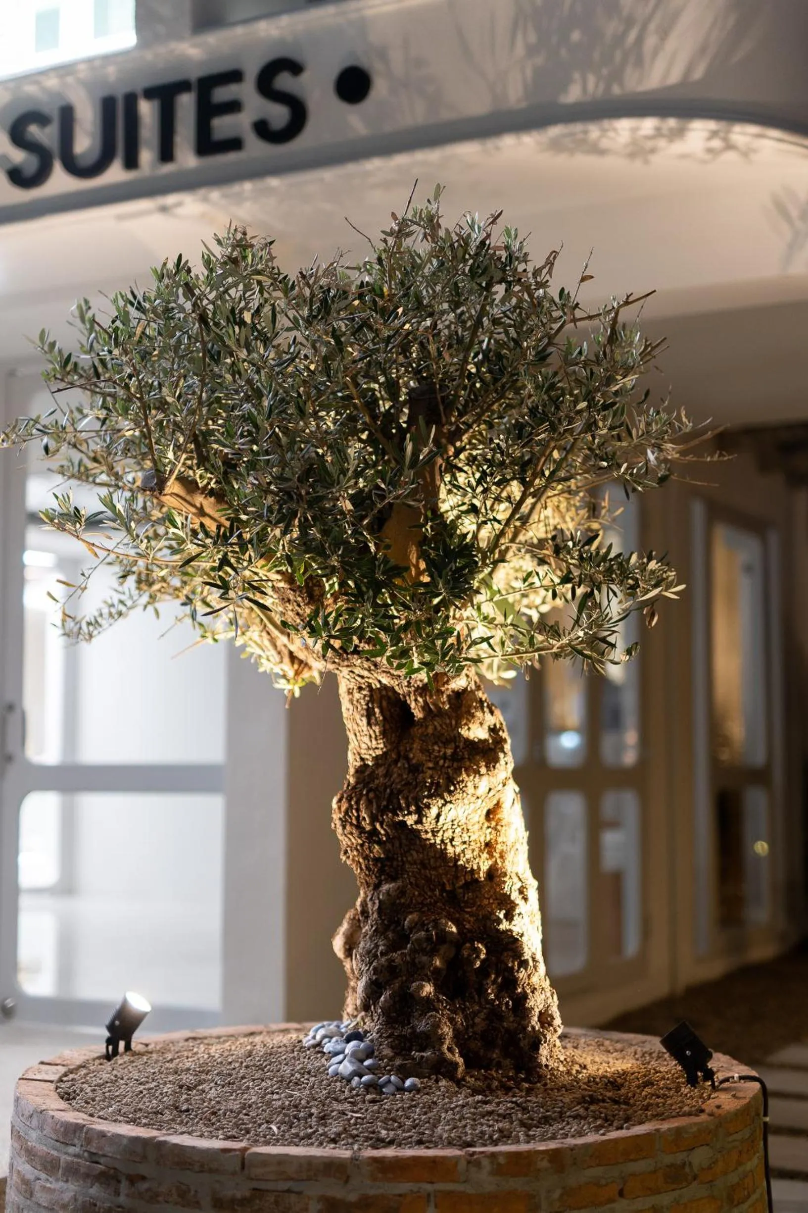 Facade/entrance in NIMANO SUITES