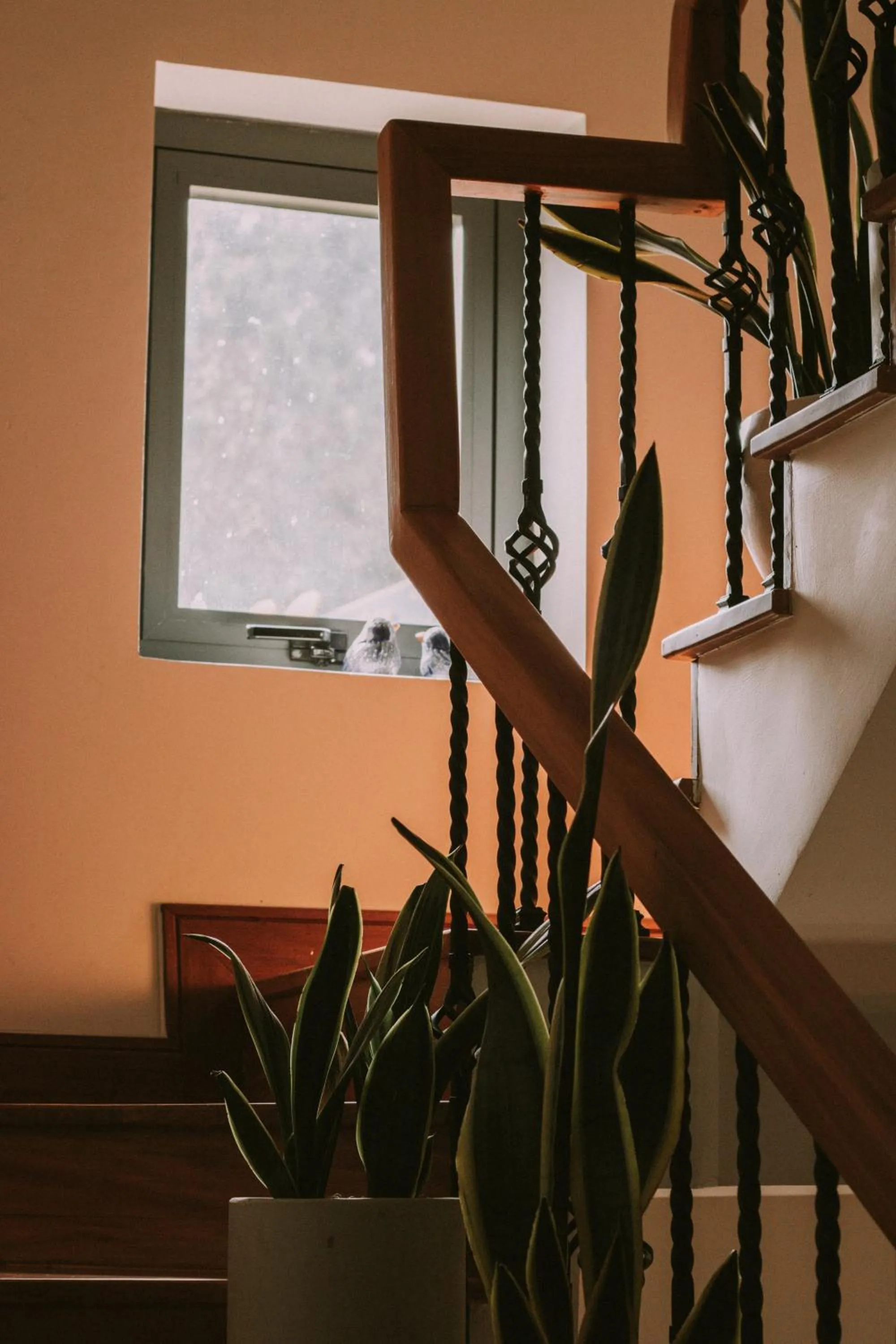 Property building in Hotel Du Ciel
