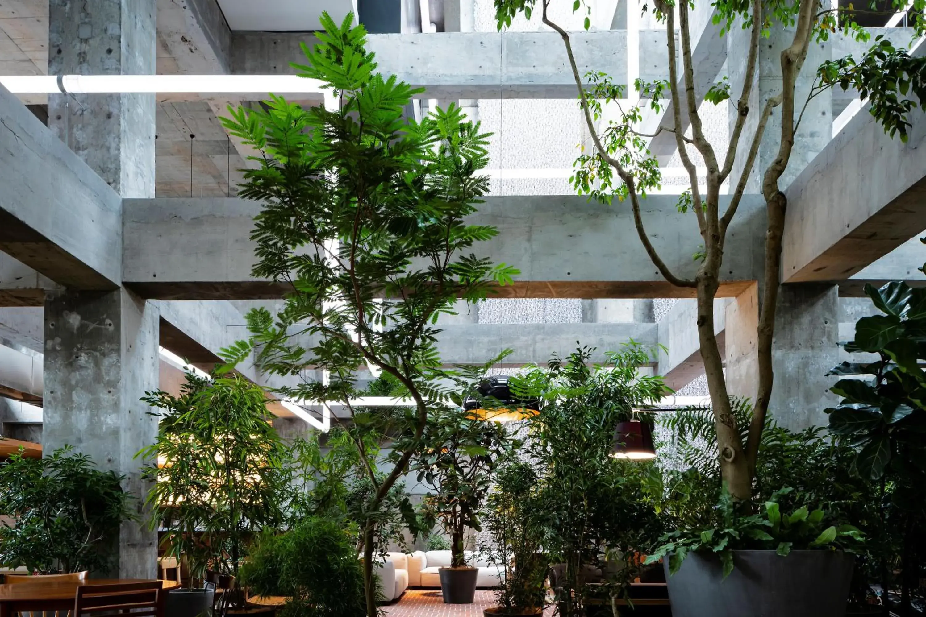 Lounge or bar in SHIROIYA HOTEL Lounge or bar in SHIROIYA HOTEL