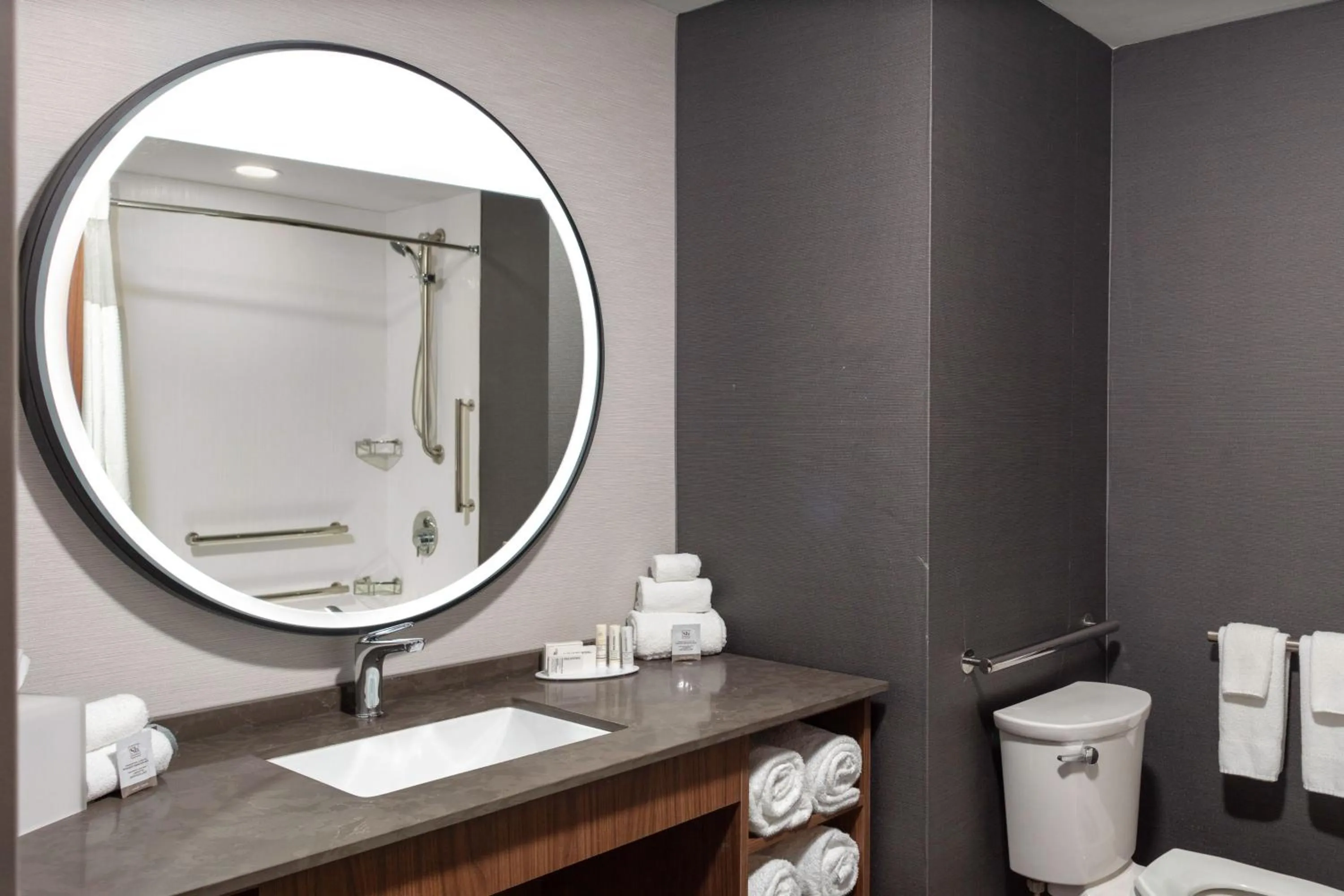 Bathroom in Courtyard by Marriott Memphis East Galleria