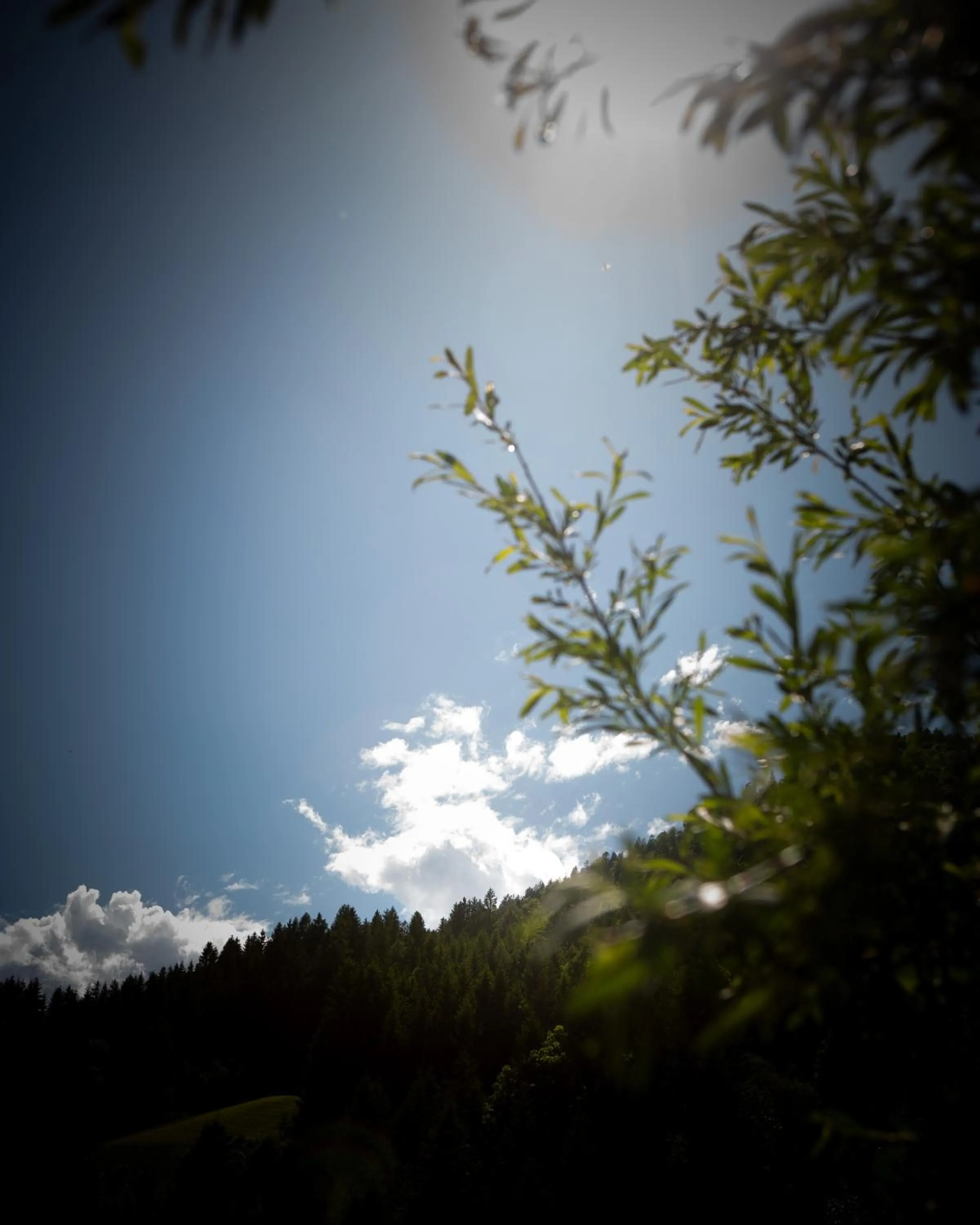 Natural landscape in Hotel Elisabeth, 4 Sterne Superior