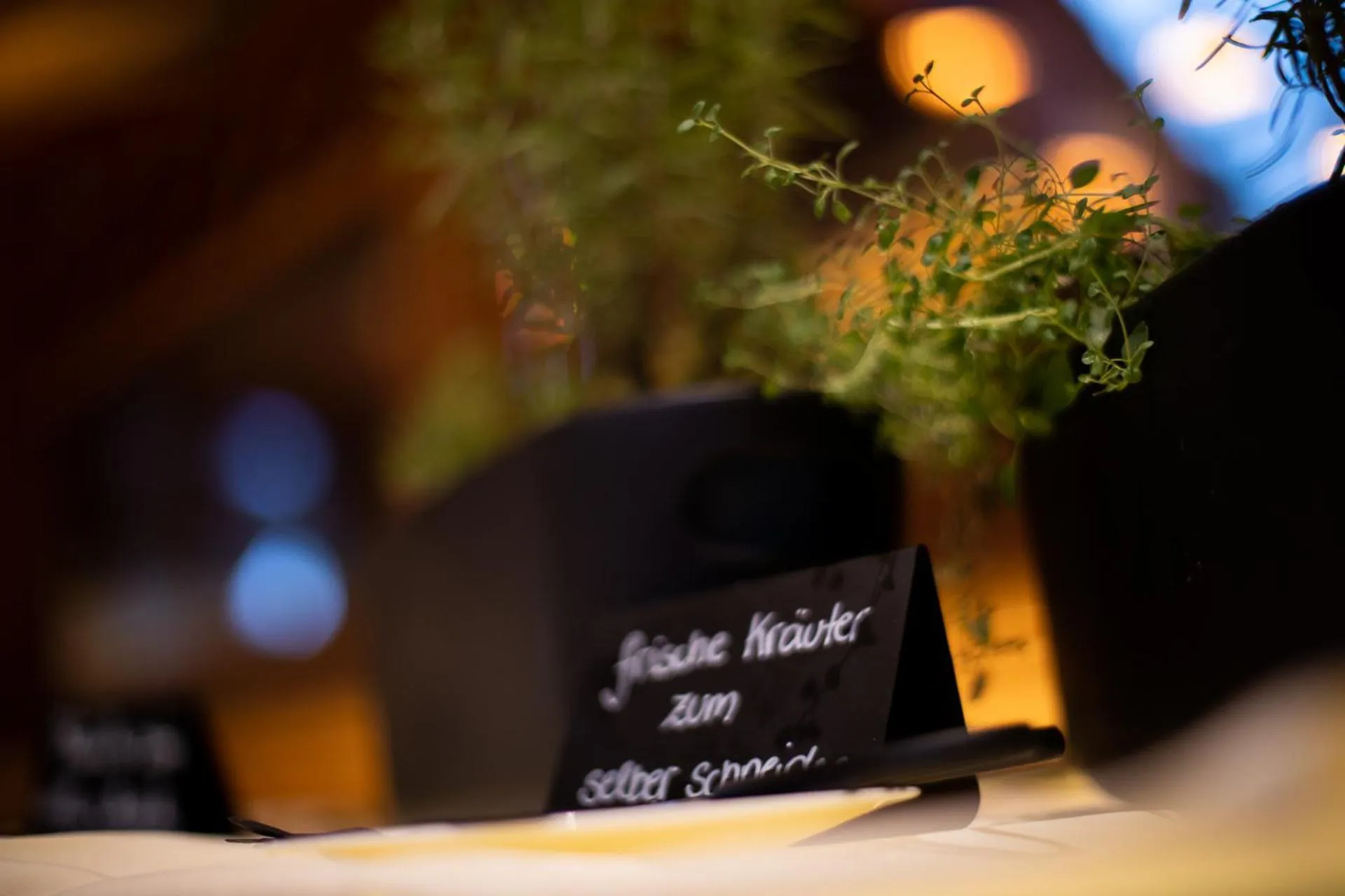 Certificate/Award in Hotel Elisabeth, 4 Sterne Superior