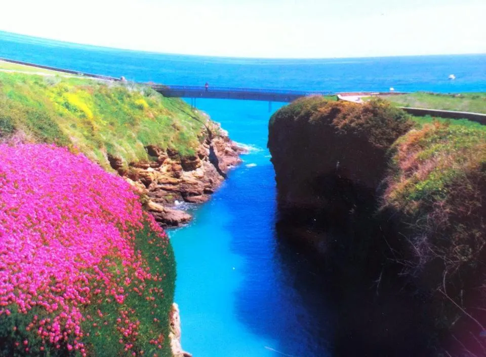 Nearby landmark in Hotel Leyton