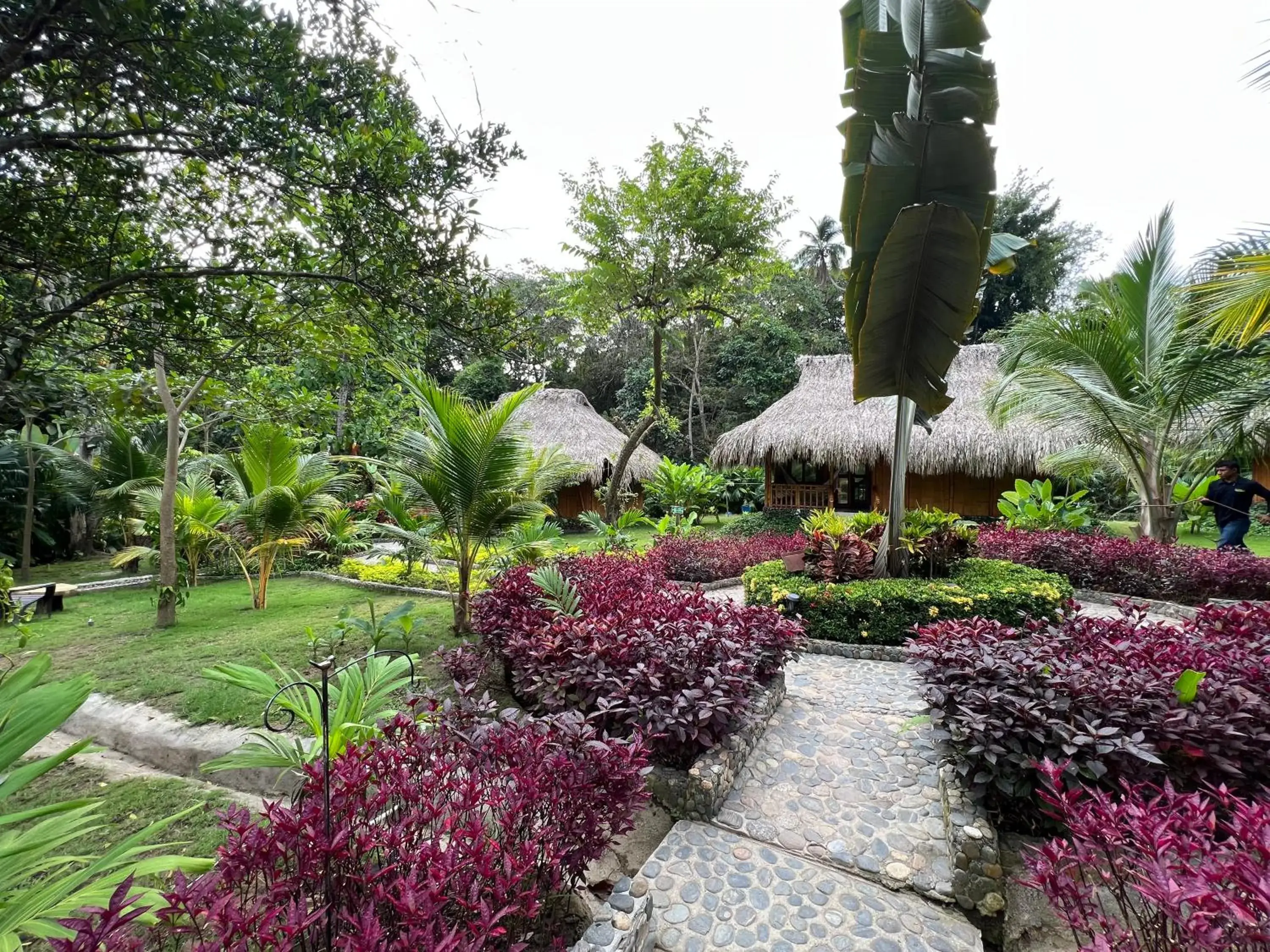 One-Bedroom Bungalow in Ecohabs Bamboo Tayrona - dentro del Parque Tayrona One-Bedroom Bungalow in Ecohabs Bamboo Tayrona - dentro del Parque Tayrona