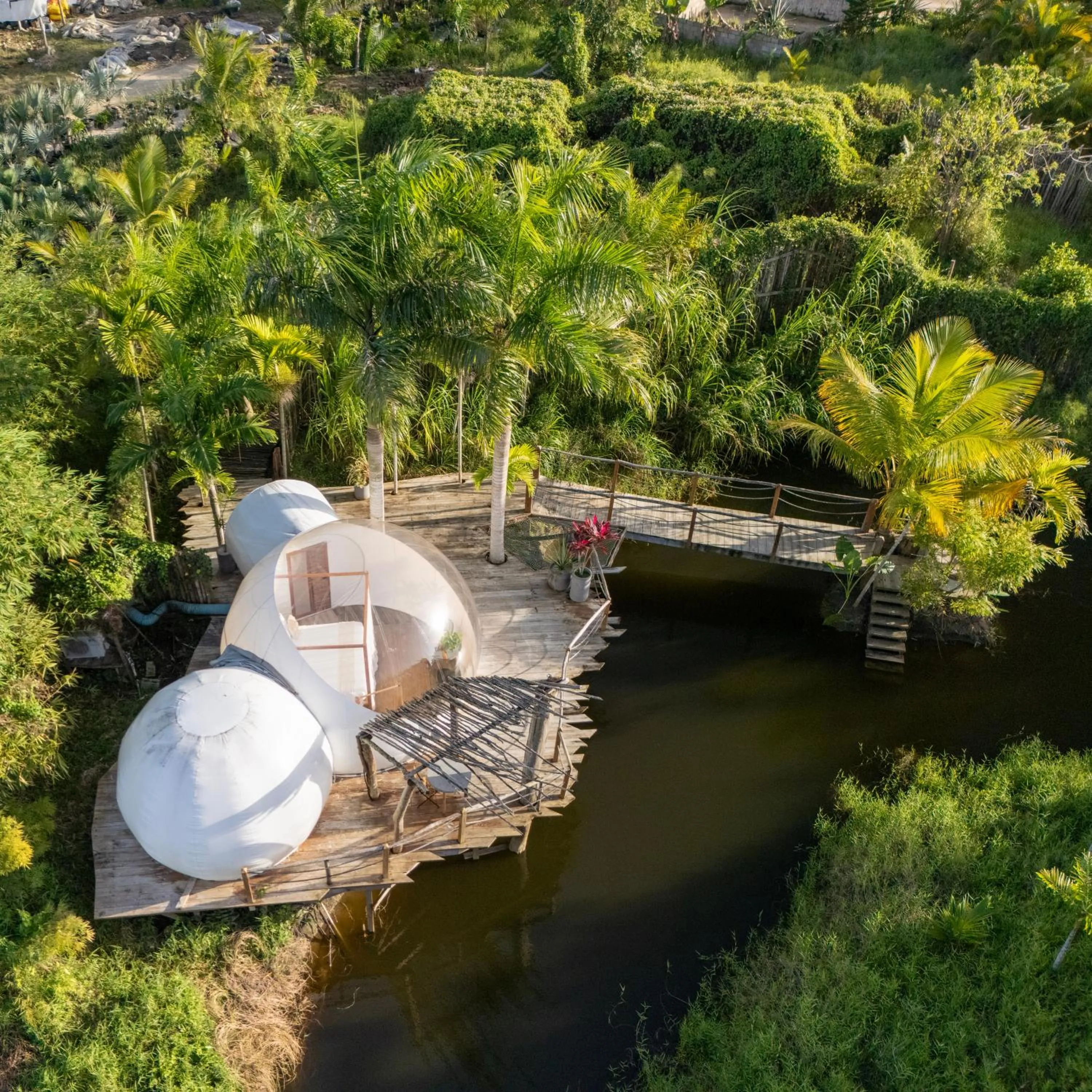 Bedroom in Green Land Bubble Glamping