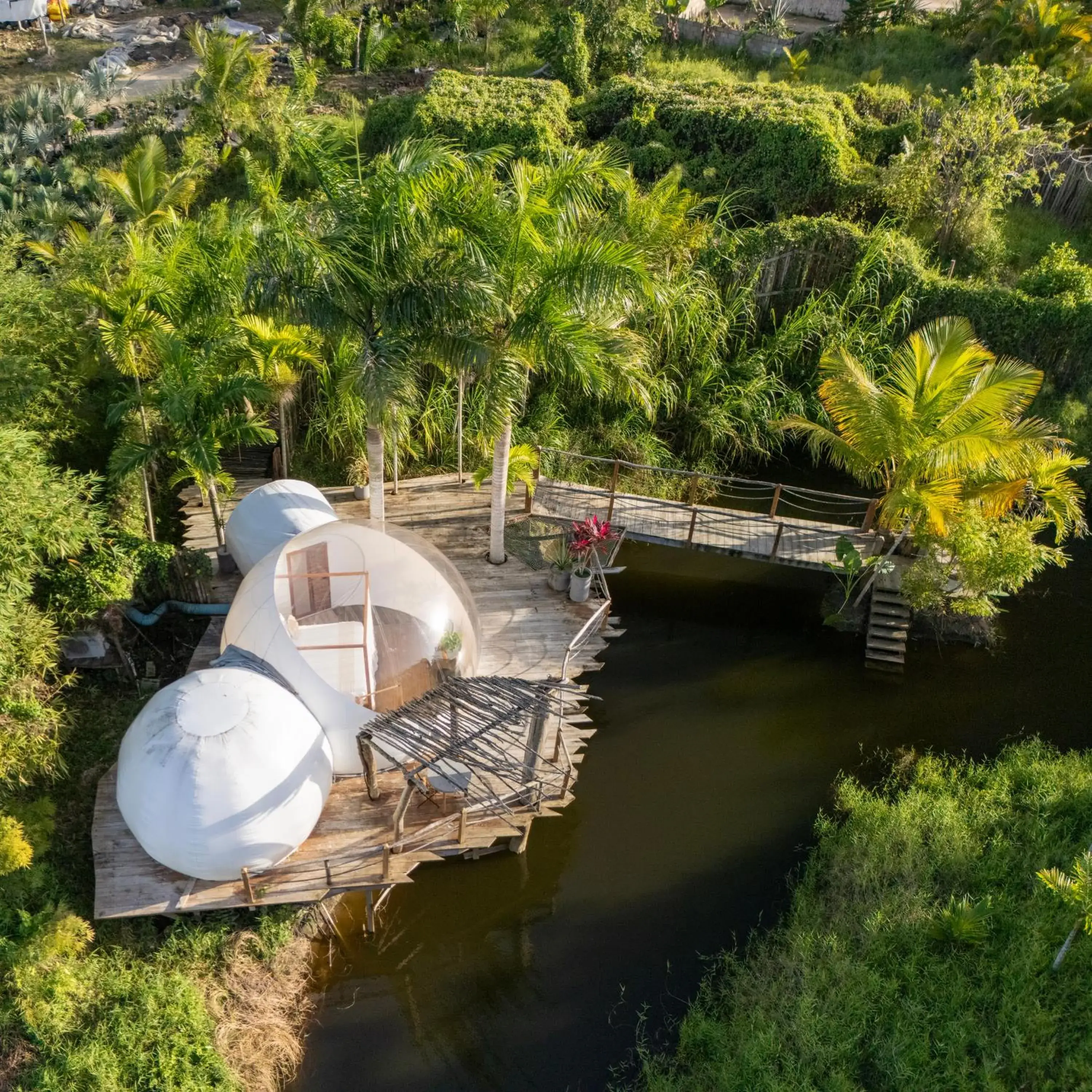 Bedroom in Green Land Bubble Glamping Bedroom in Green Land Bubble Glamping