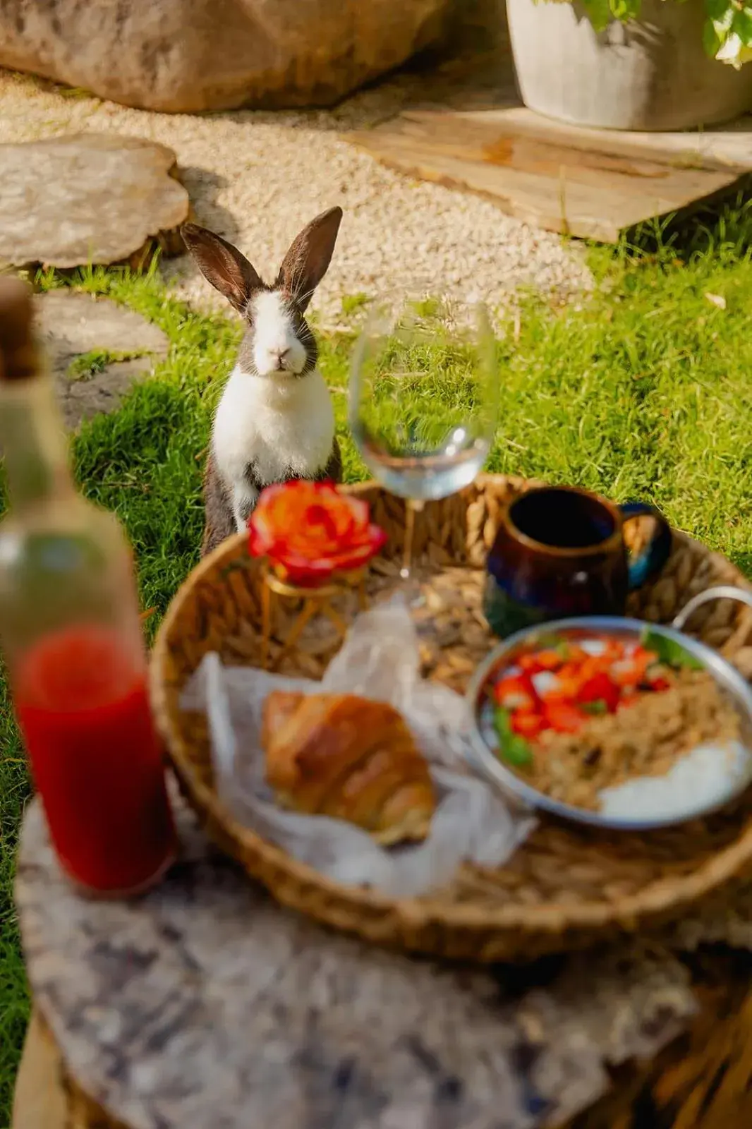 Breakfast in Green Land Bubble Glamping Breakfast in Green Land Bubble Glamping