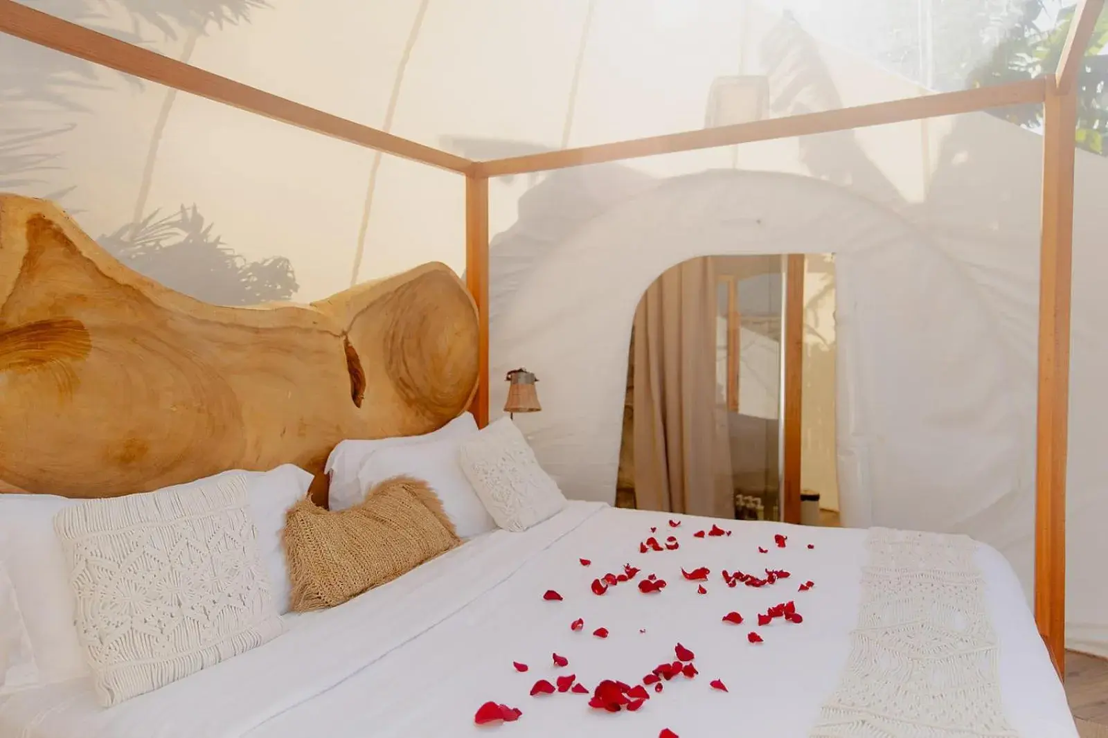 Bed in Green Land Bubble Glamping Bed in Green Land Bubble Glamping