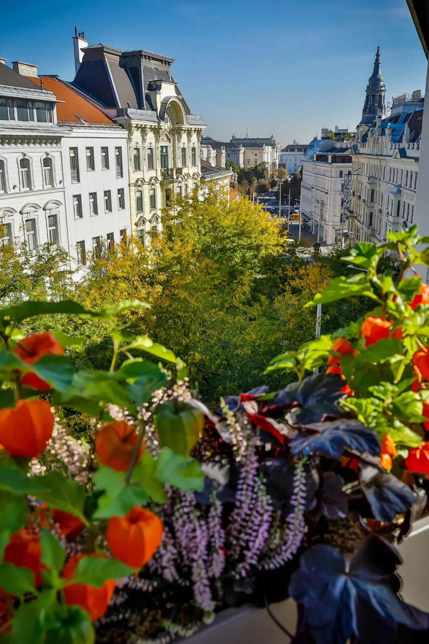 City view in Boutiquehotel Das Tyrol City view in Boutiquehotel Das Tyrol