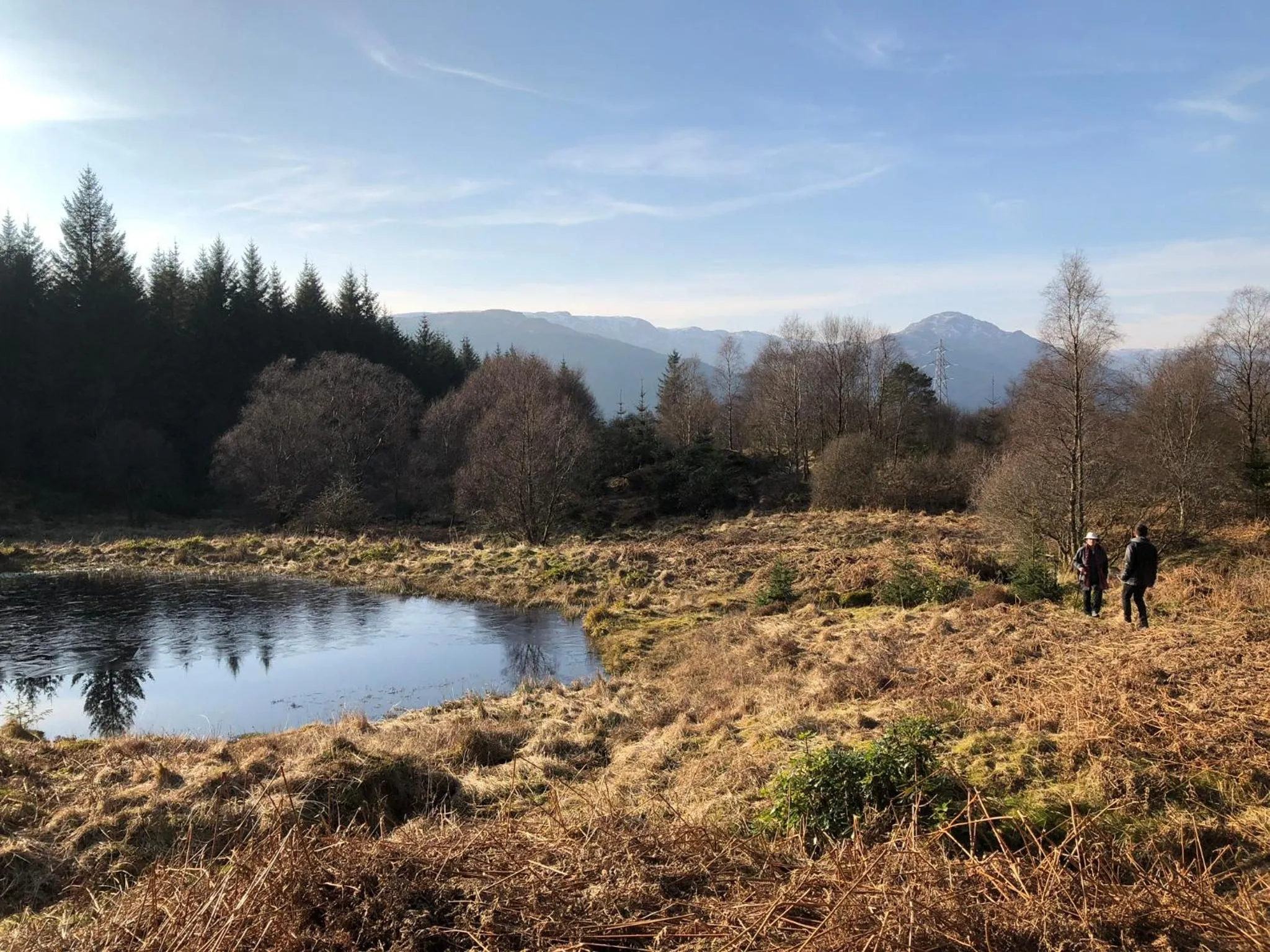 Natural landscape in Rashfield Sheilings - Riverside Lodges, by Pucks Glen, Dunoon