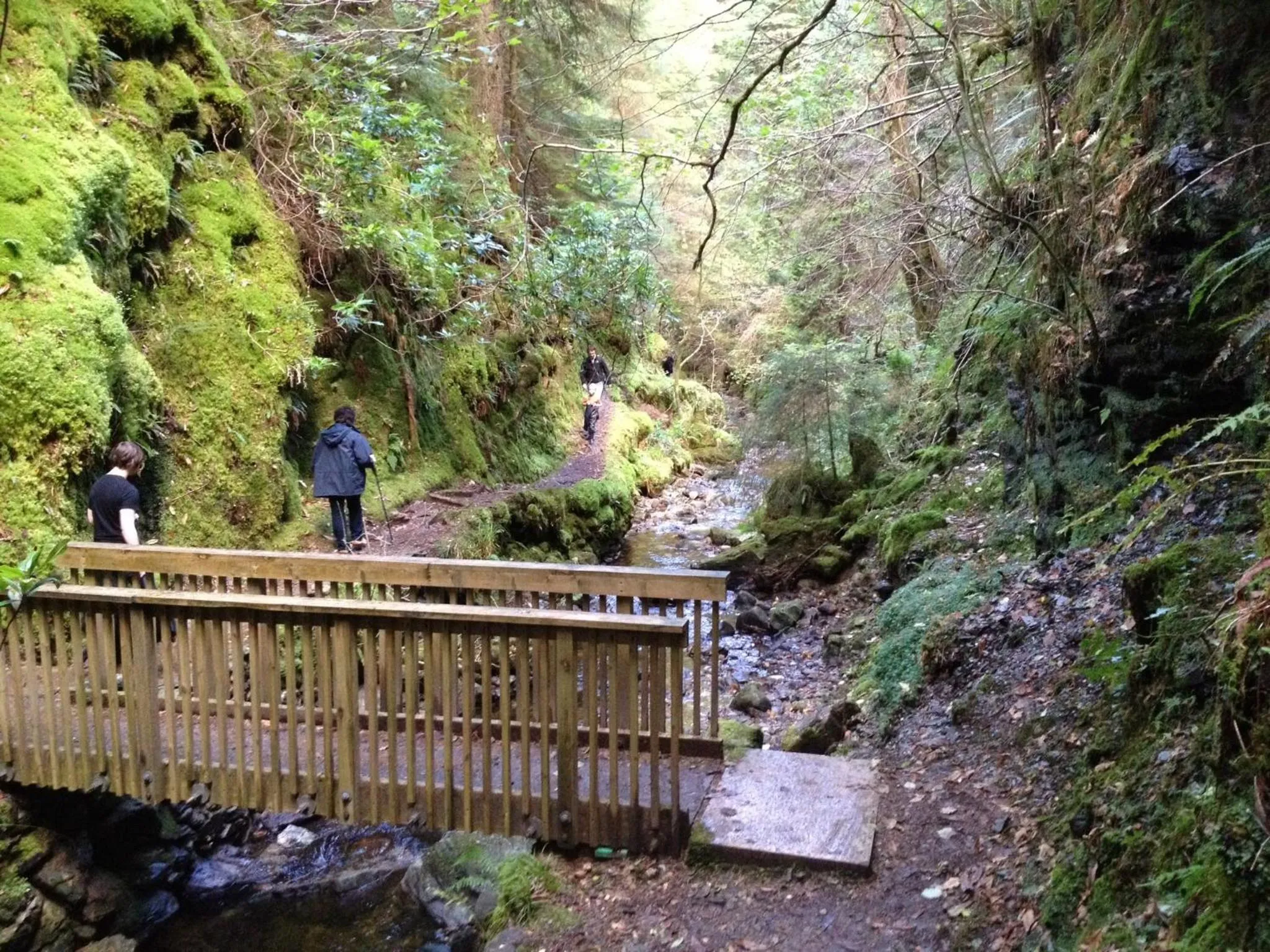 Other in Rashfield Sheilings - Riverside Lodges, by Pucks Glen, Dunoon