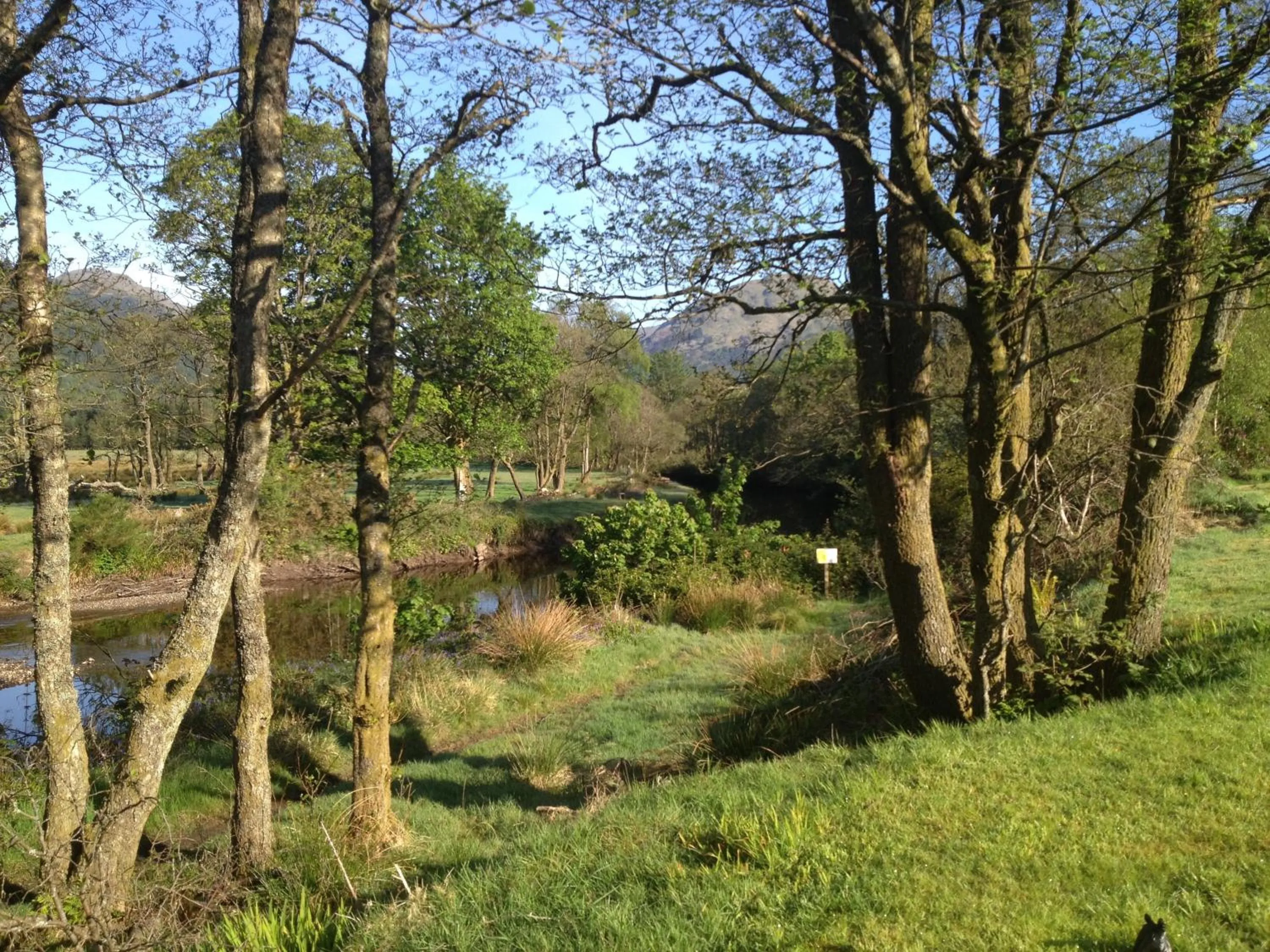 View (from property/room) in Rashfield Sheilings - Riverside Lodges, by Pucks Glen, Dunoon