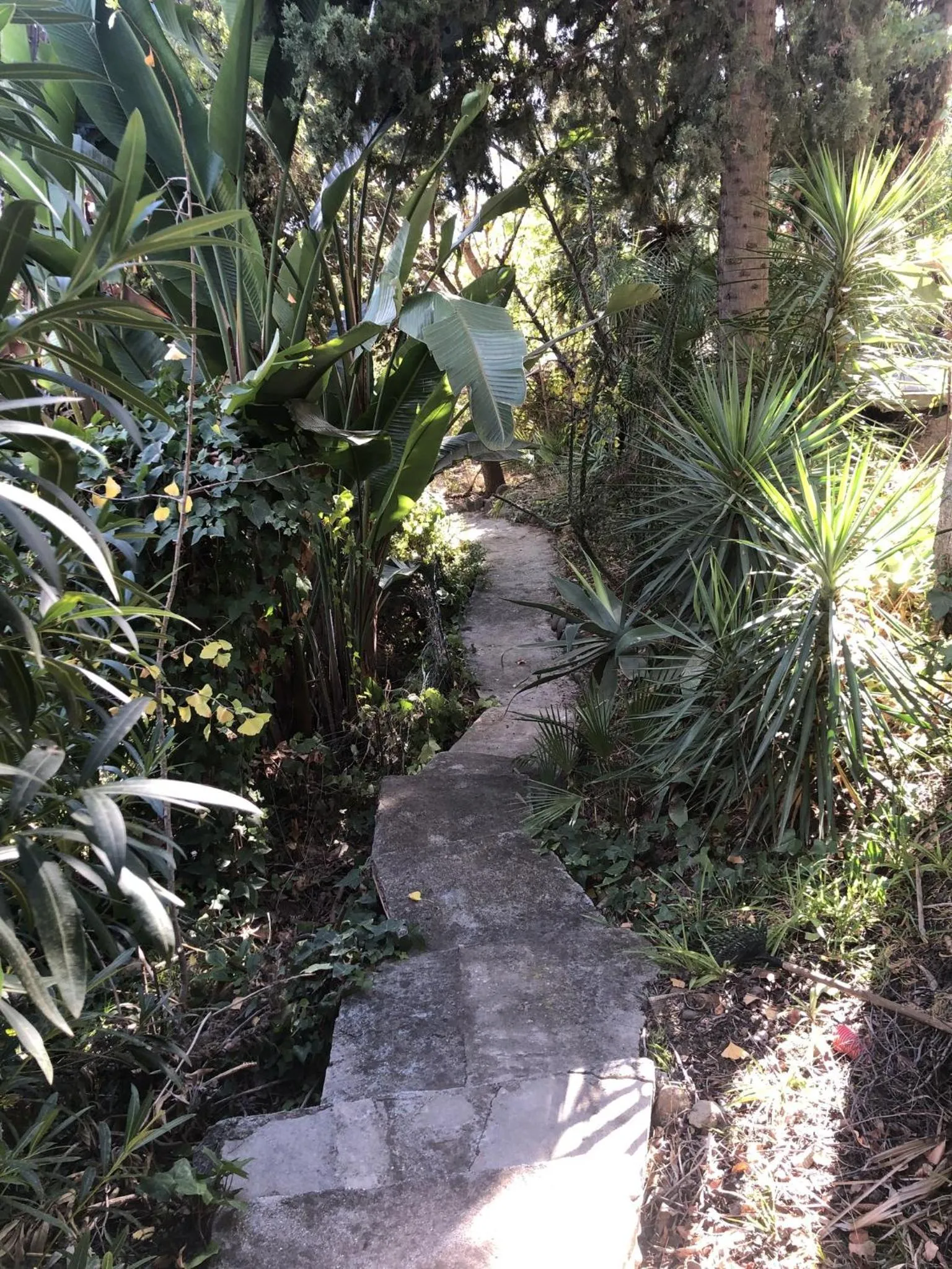 Casa Simba B&B