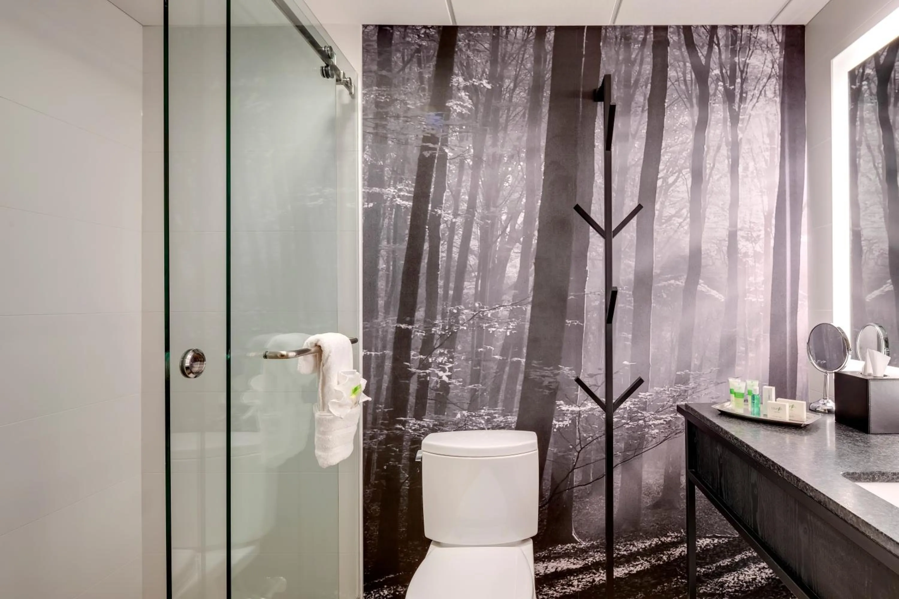 Peaks Hotel and Suites