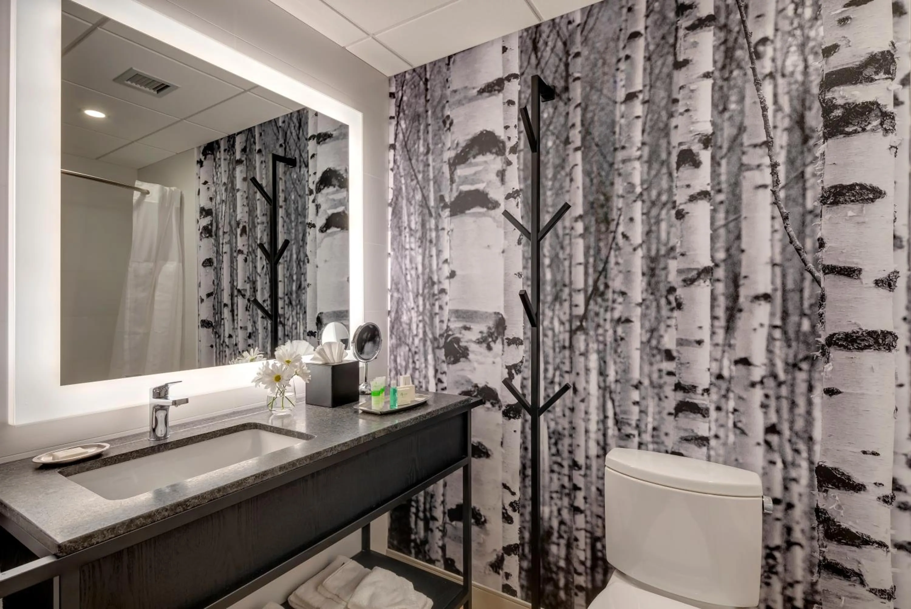 Shower in Peaks Hotel and Suites