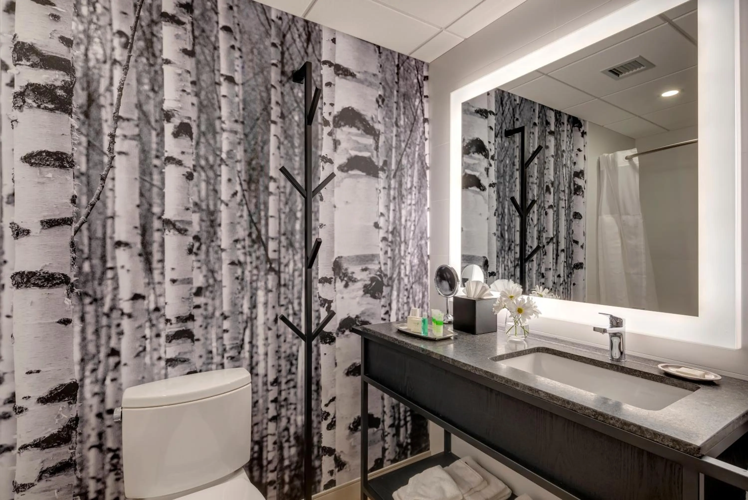 Shower in Peaks Hotel and Suites