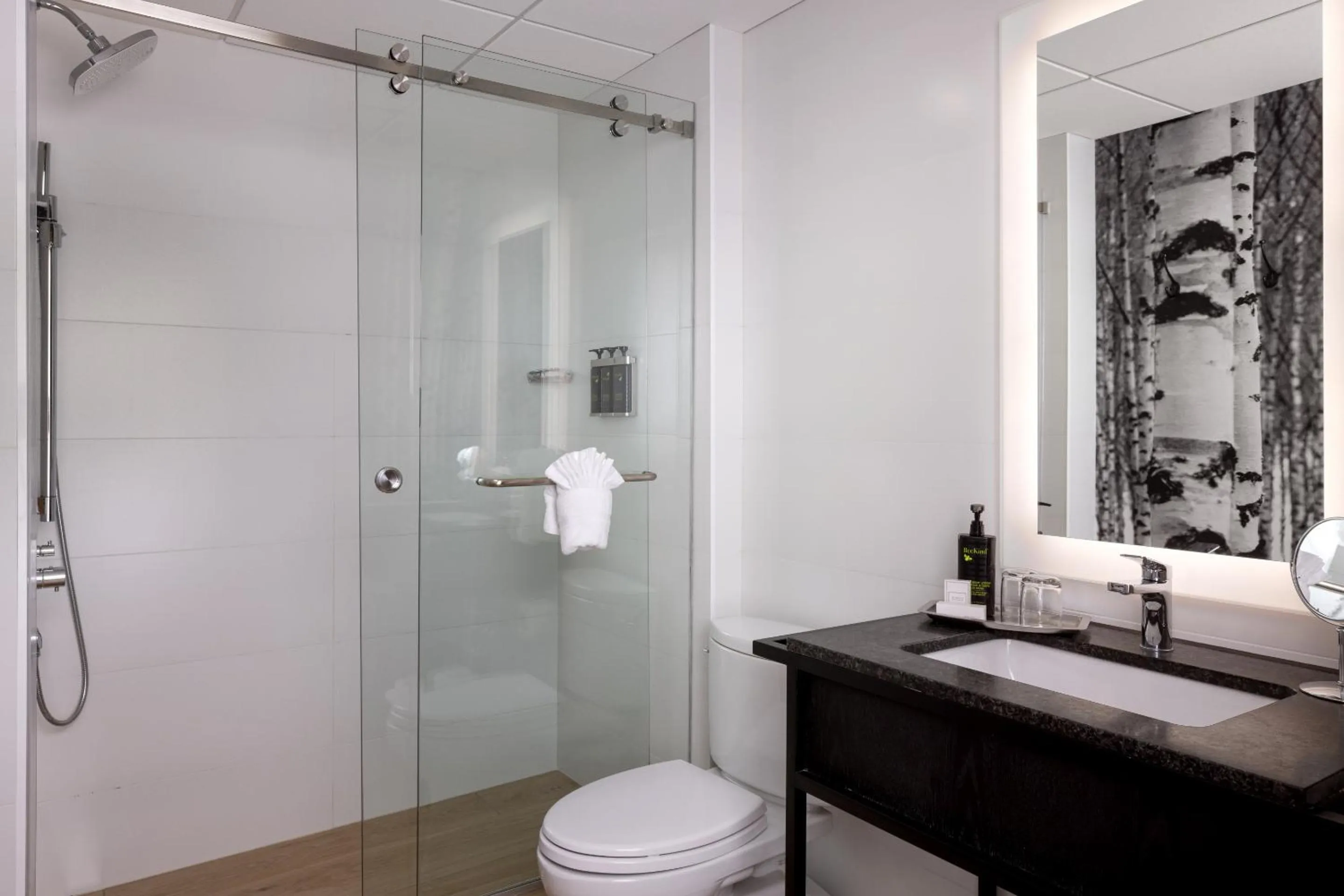 Bathroom in Peaks Hotel and Suites