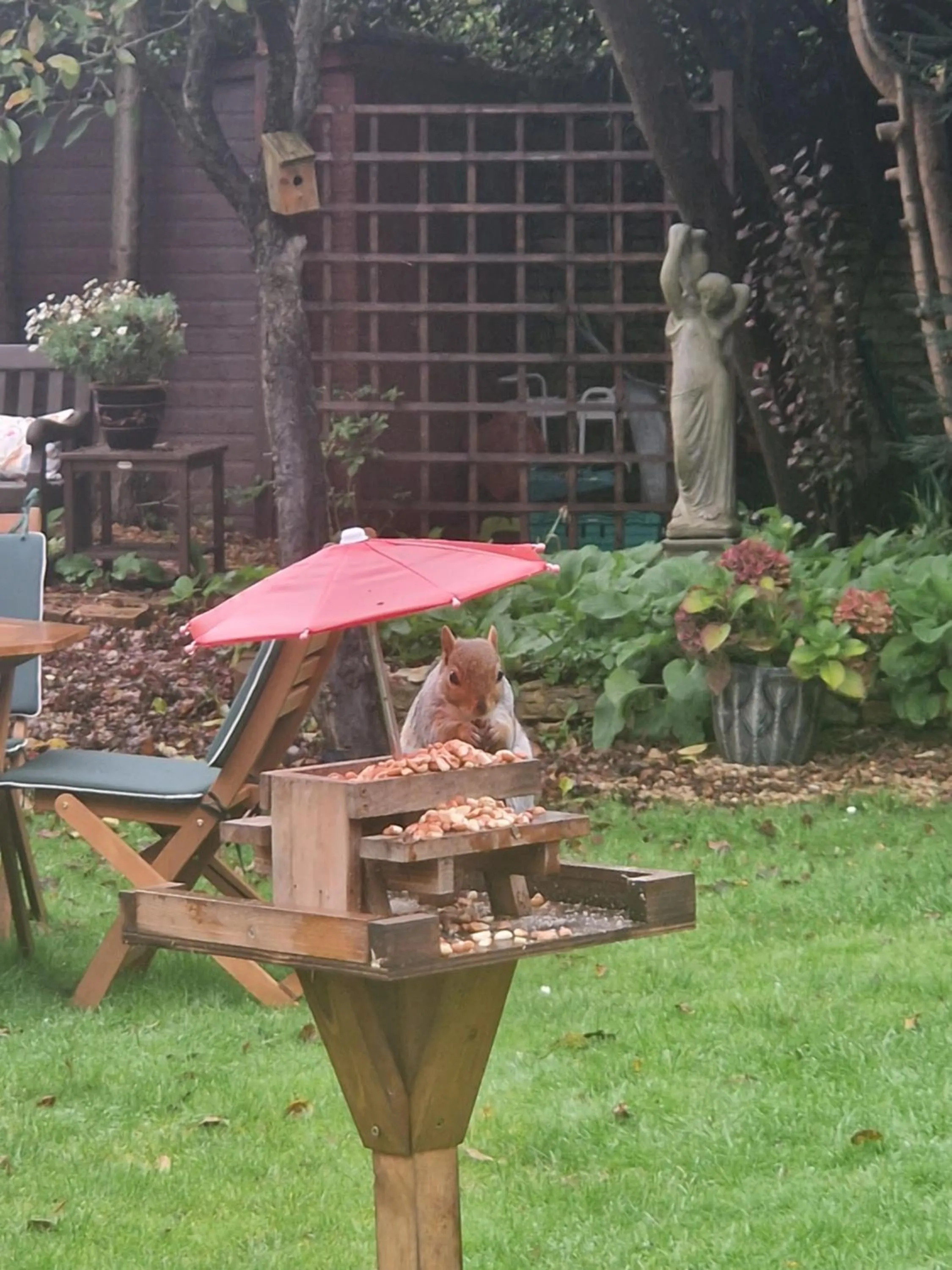 Garden in St Margaret's Hotel