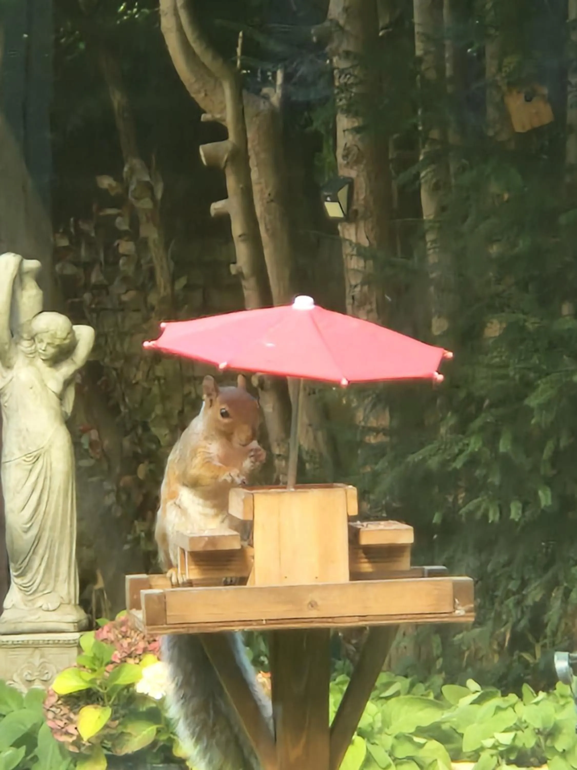 Garden in St Margaret's Hotel