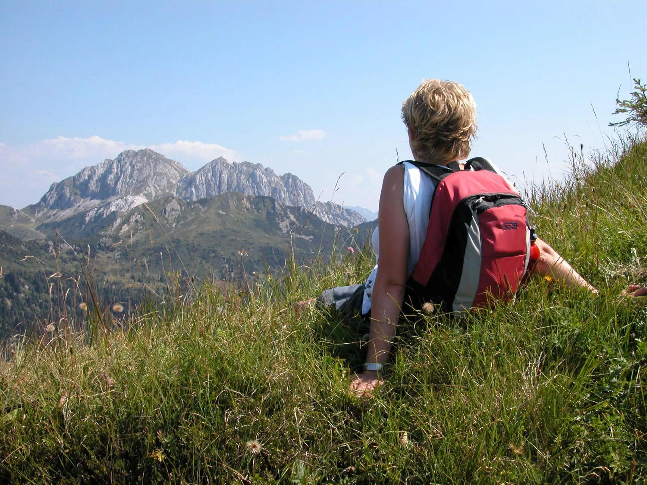 Mountain view in Alpen Adria Hotel & Spa