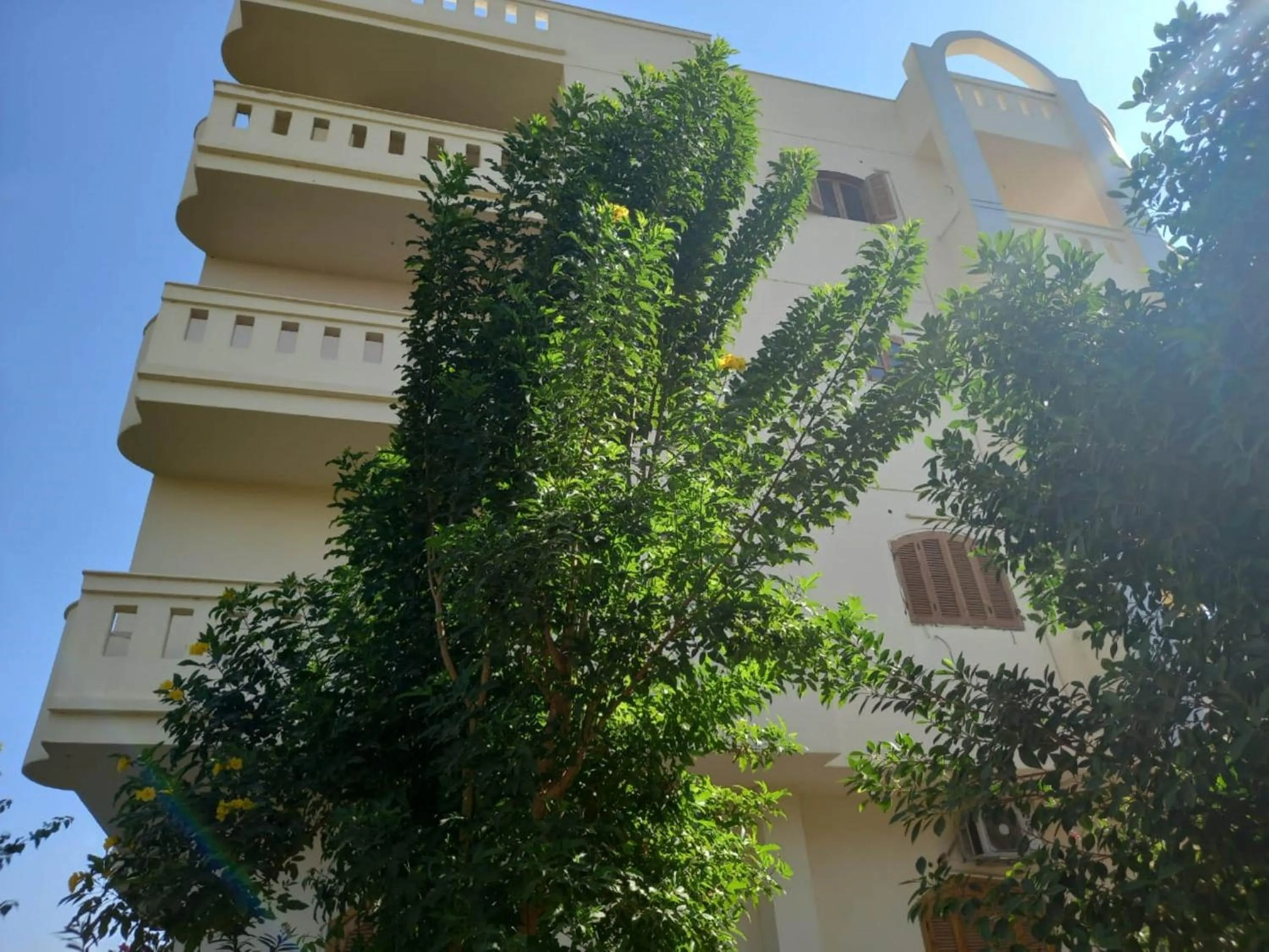 Elsanosy Family Guest House - Luxor