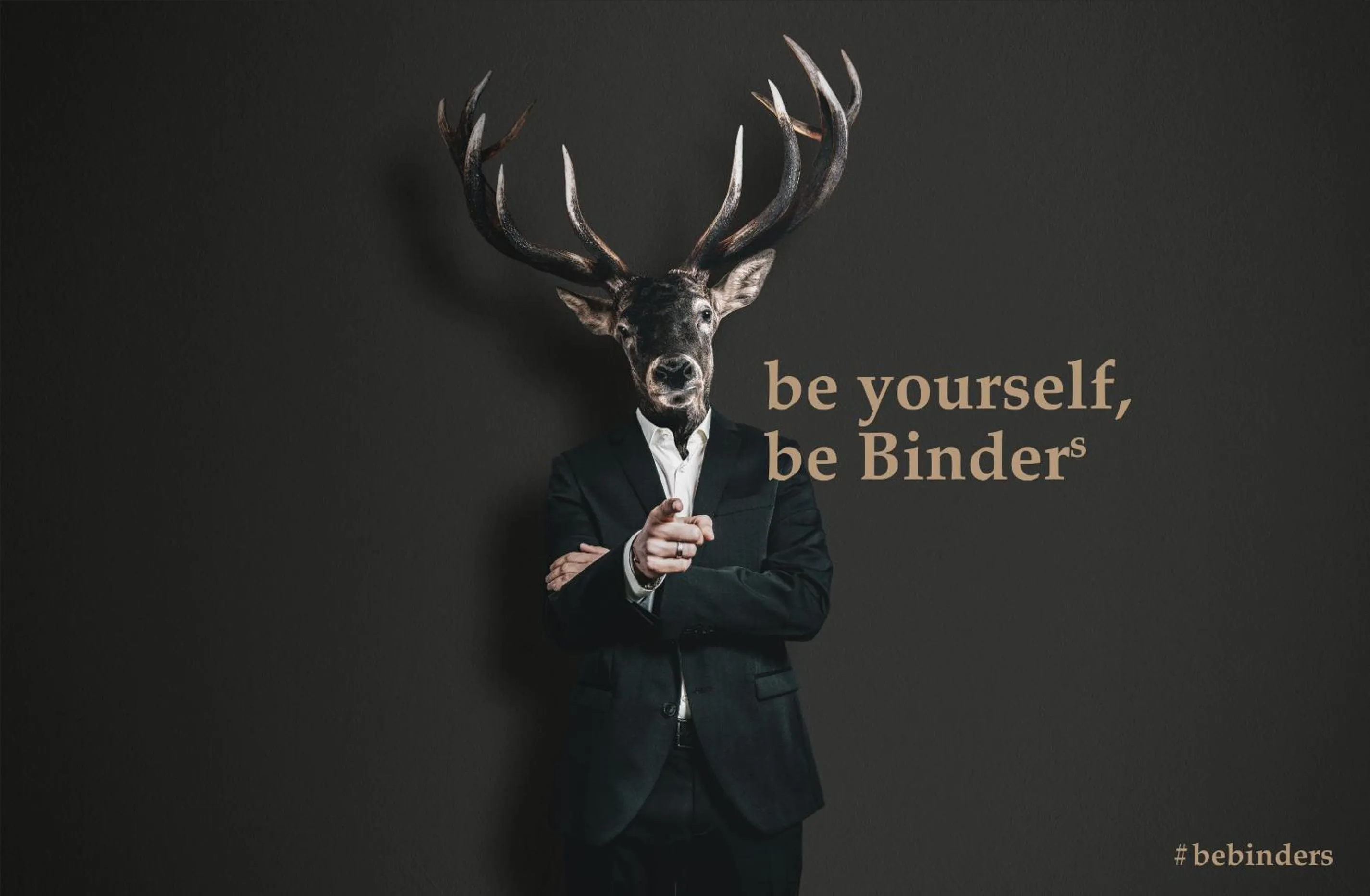 Other in BinderS Budget City-Mountain Hotel