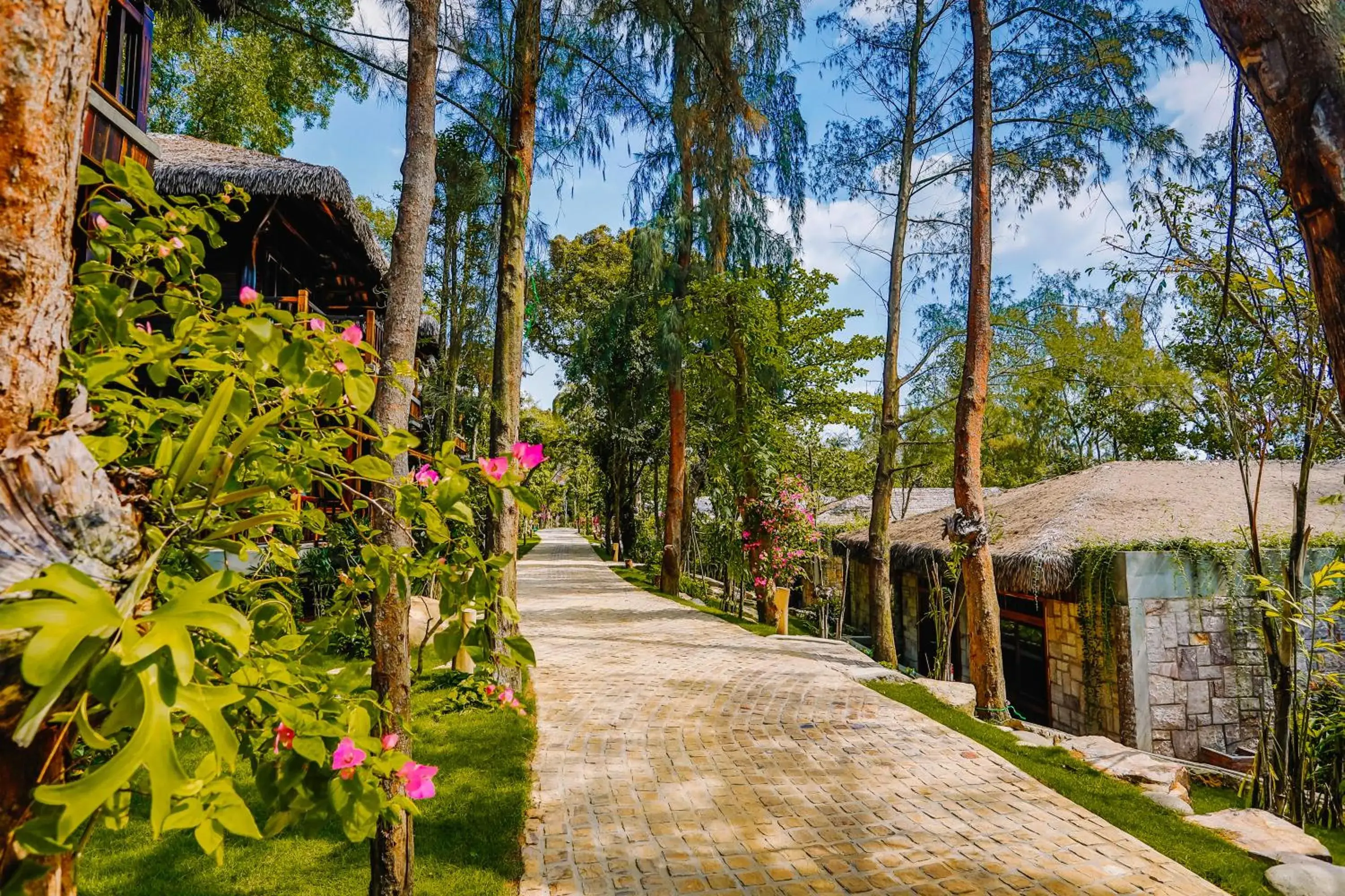 Quiet street view in Ocean Bay Resort & Spa Phu Quoc Quiet street view in Ocean Bay Resort & Spa Phu Quoc