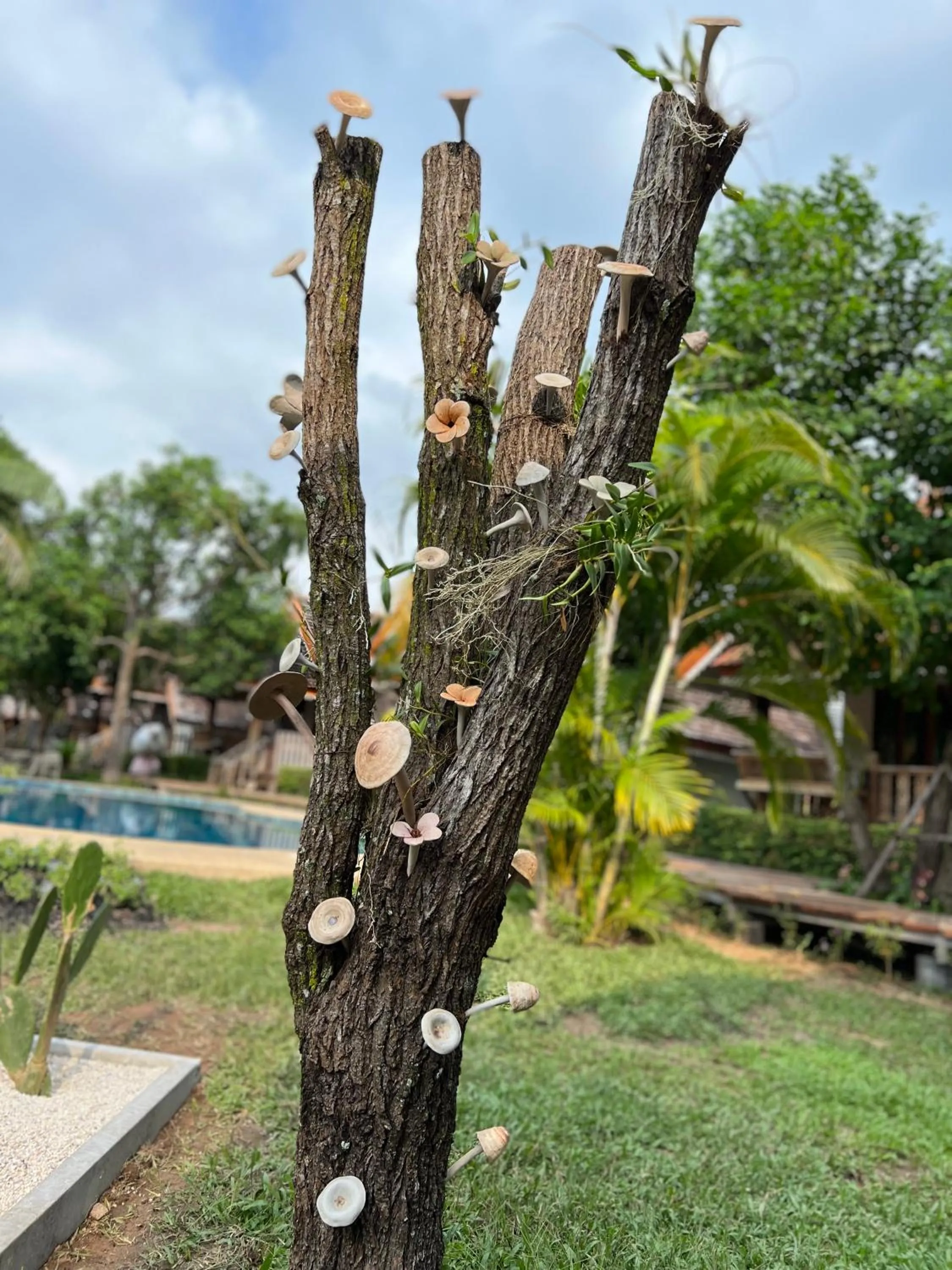 Natural landscape in Siri Lagoona Resort