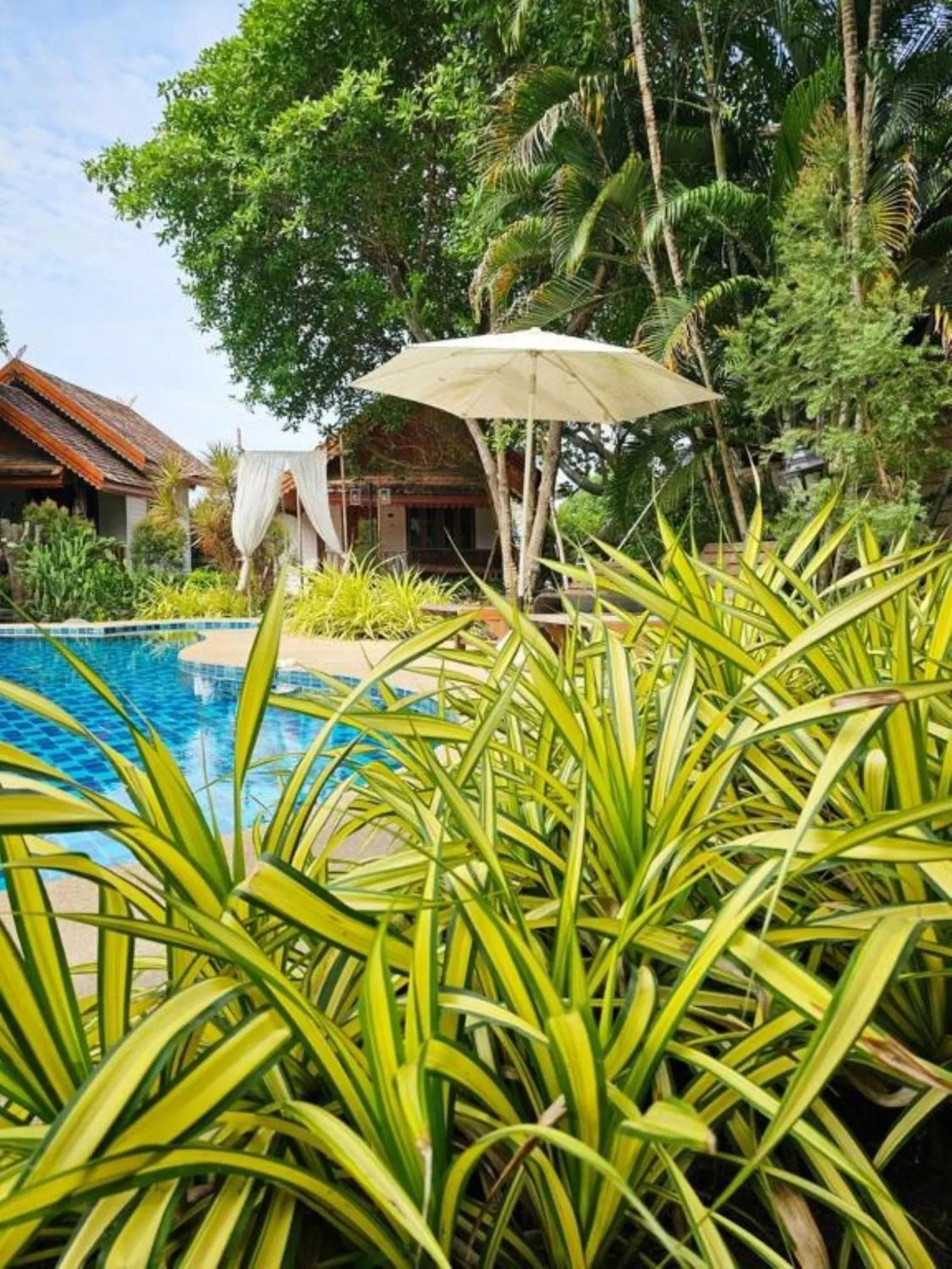 Garden in Siri Lagoona Resort