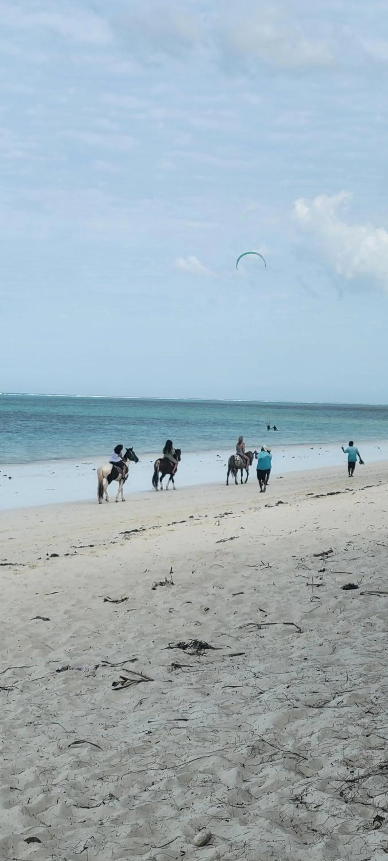 Mambo Cabana
