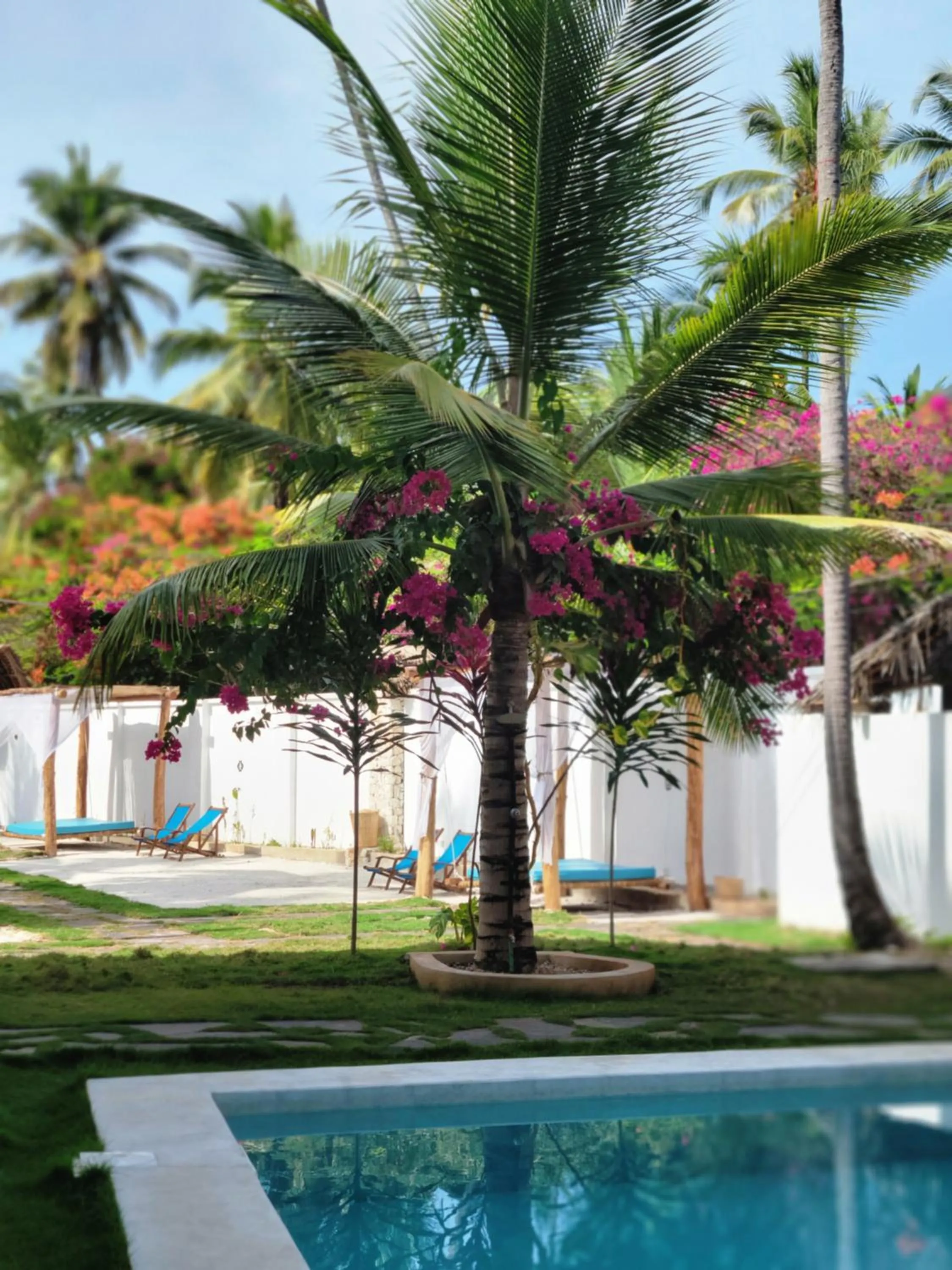 Mambo Cabana
