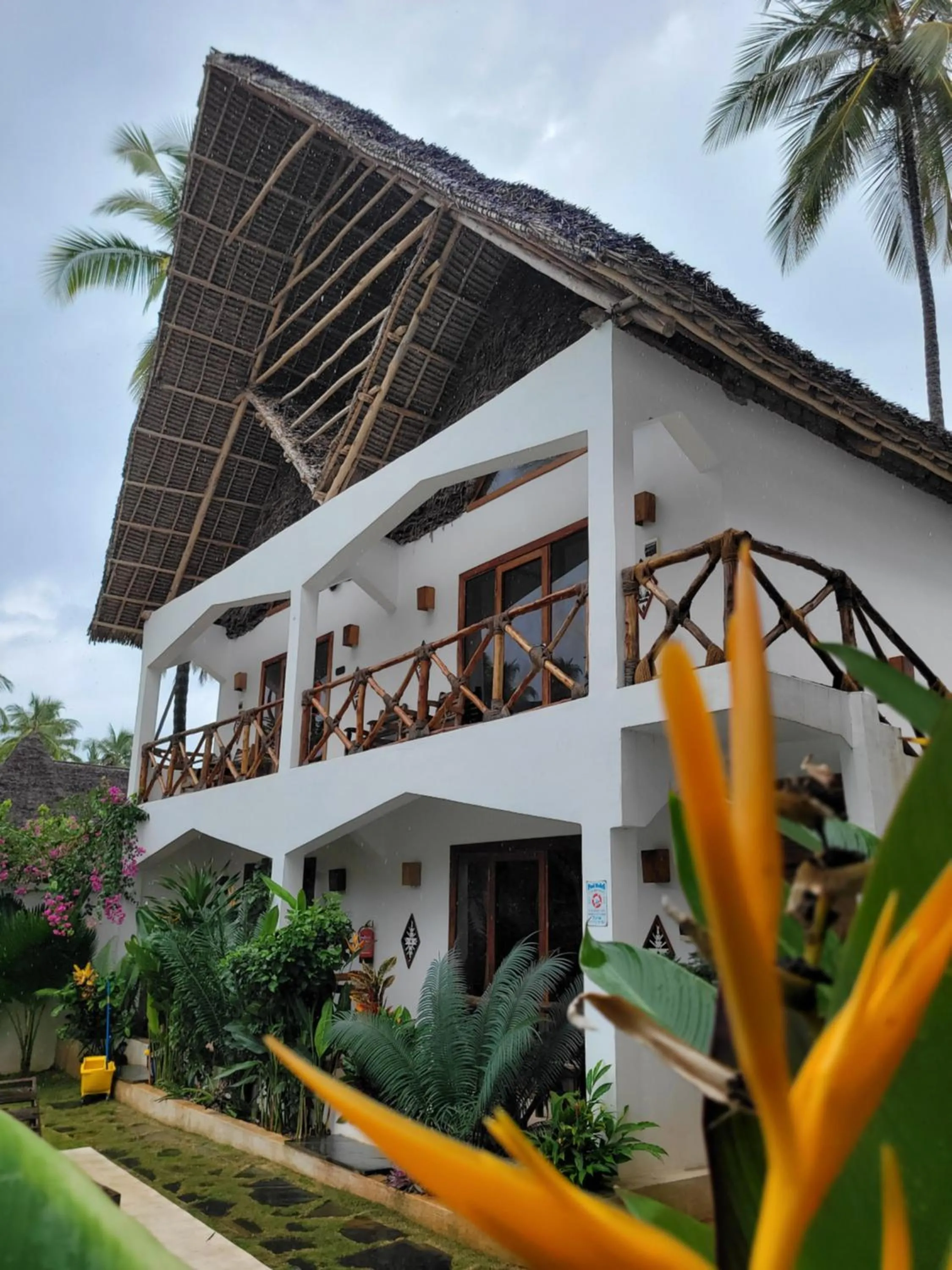 Mambo Cabana