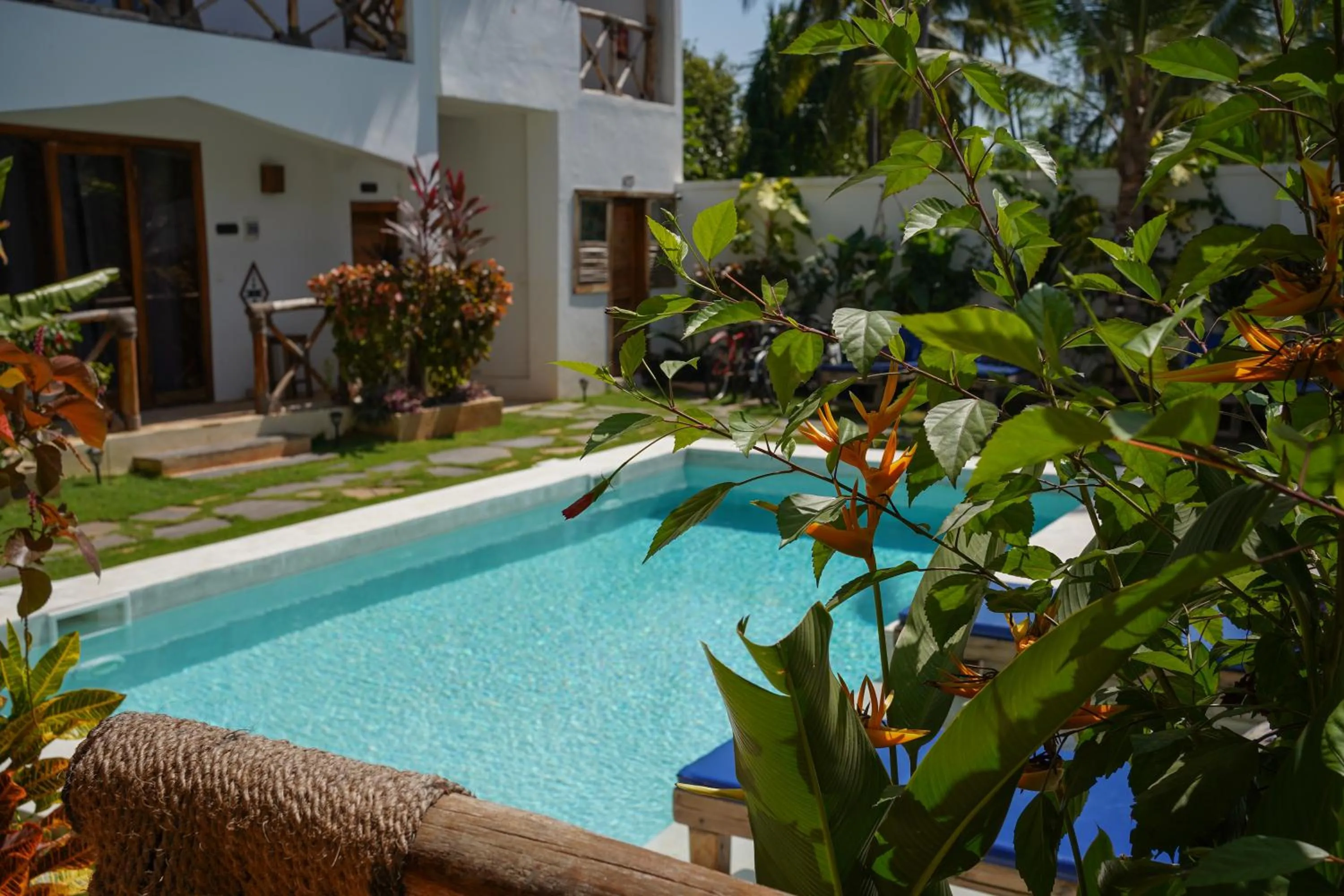 Mambo Cabana