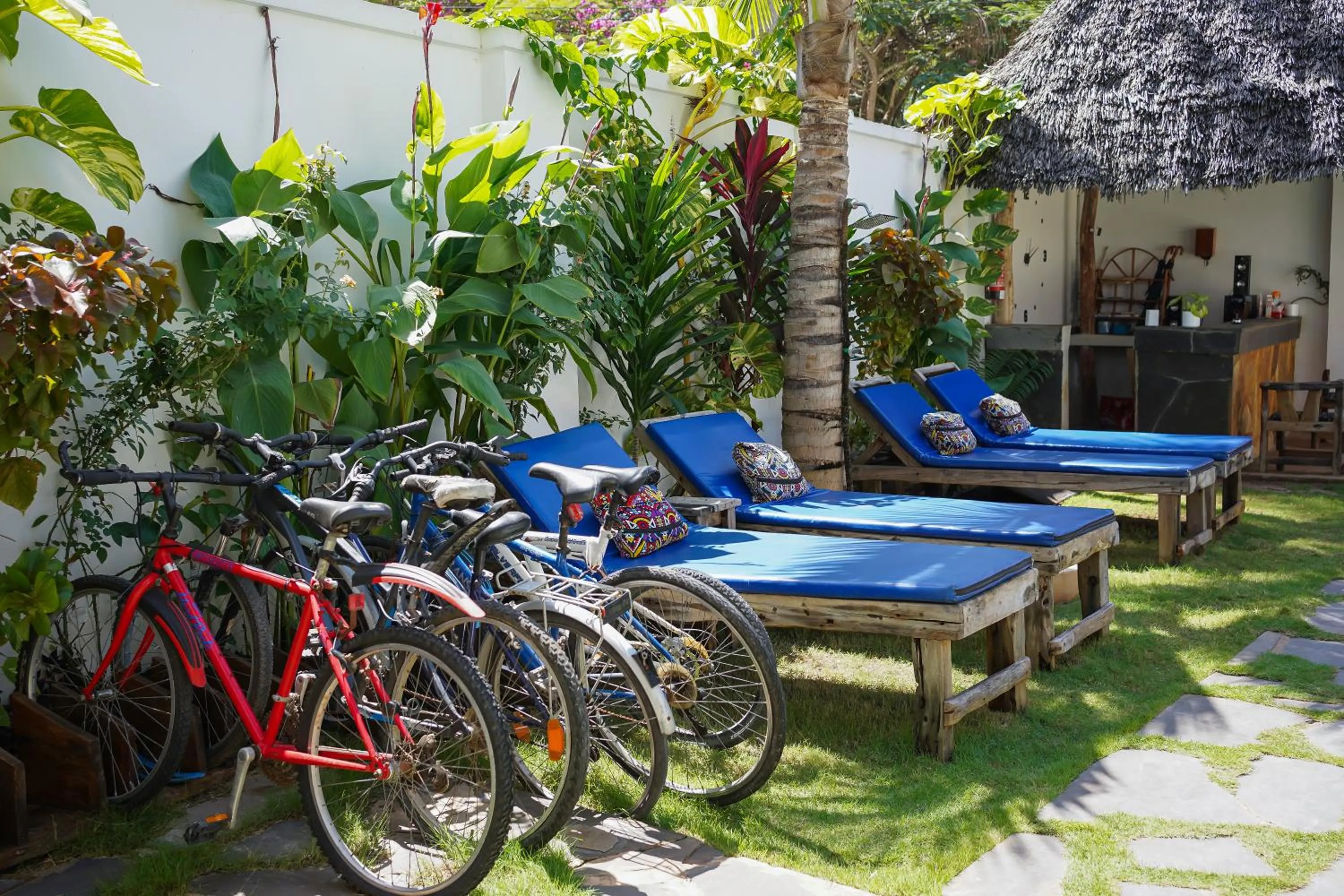 Mambo Cabana