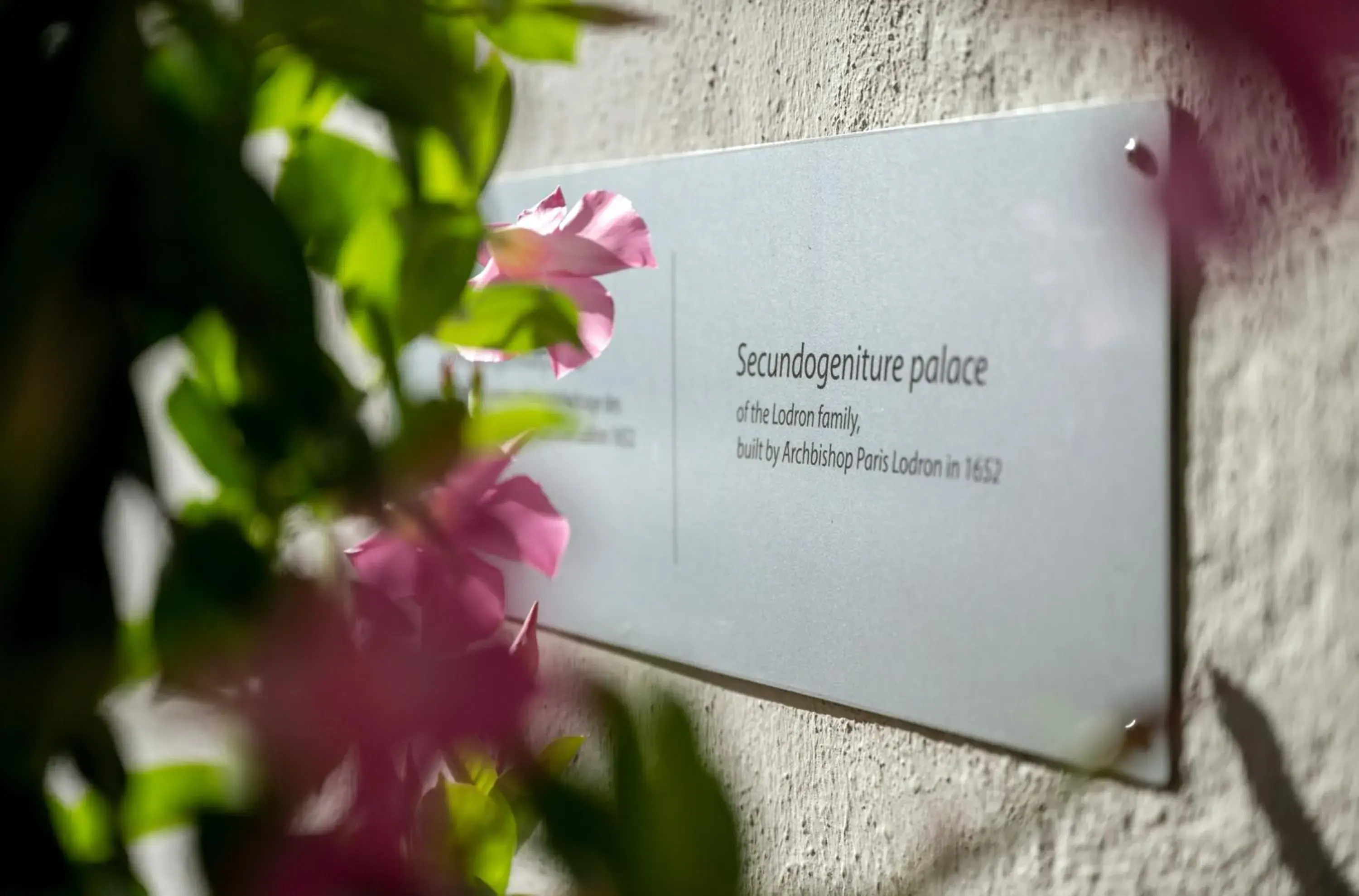 Facade/entrance in Hotel am Mirabellplatz Facade/entrance in Hotel am Mirabellplatz