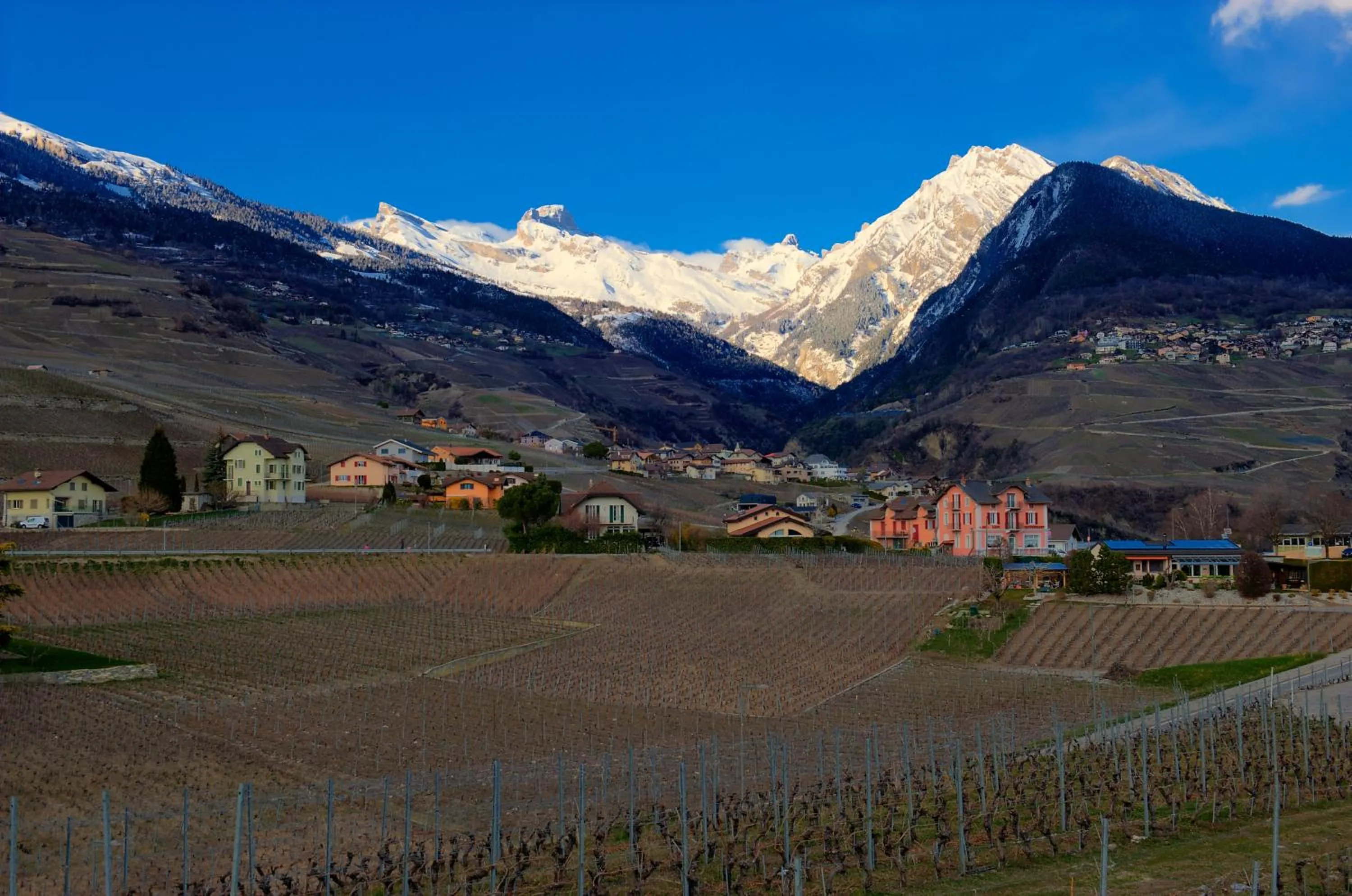 Natural landscape in Auberge Les Rangs