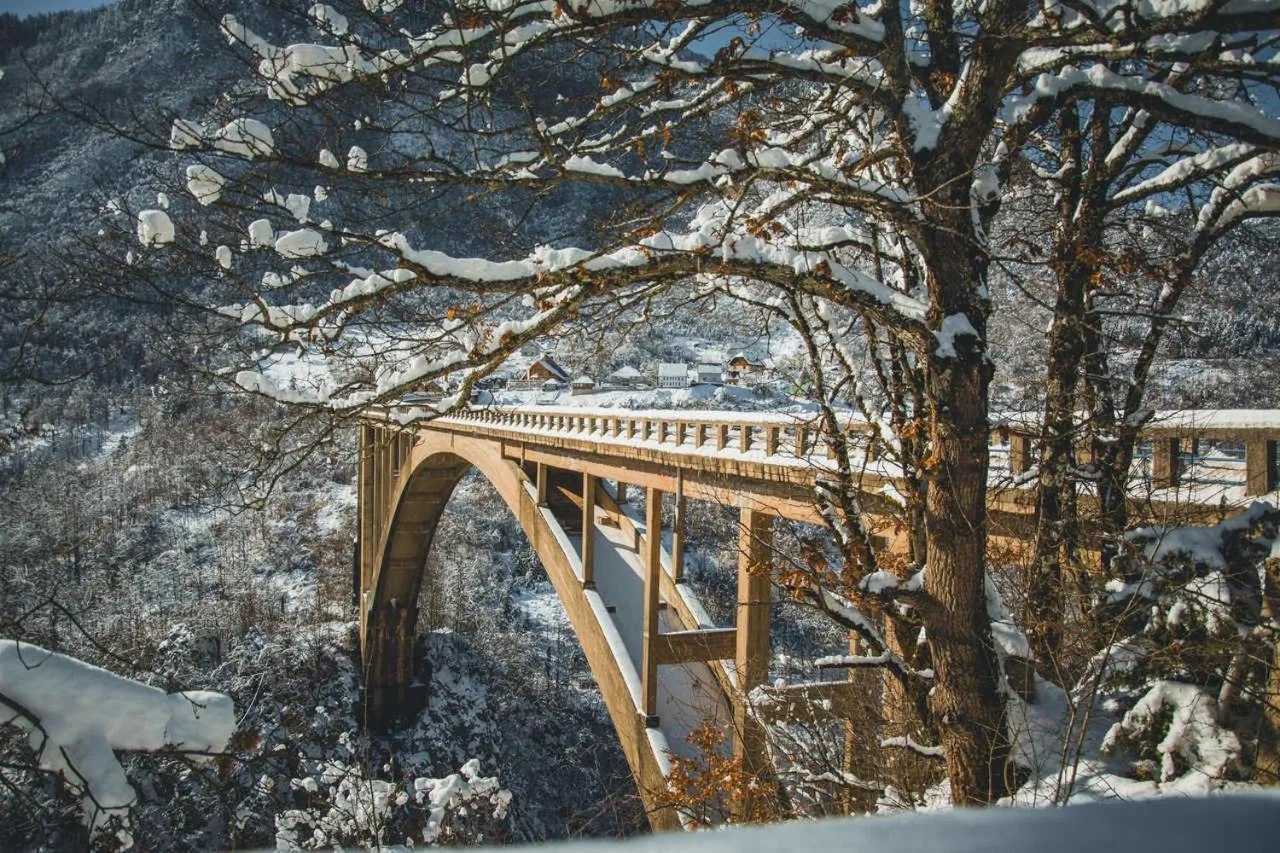 Natural landscape in Casa di Pino EcoLodge Hotel