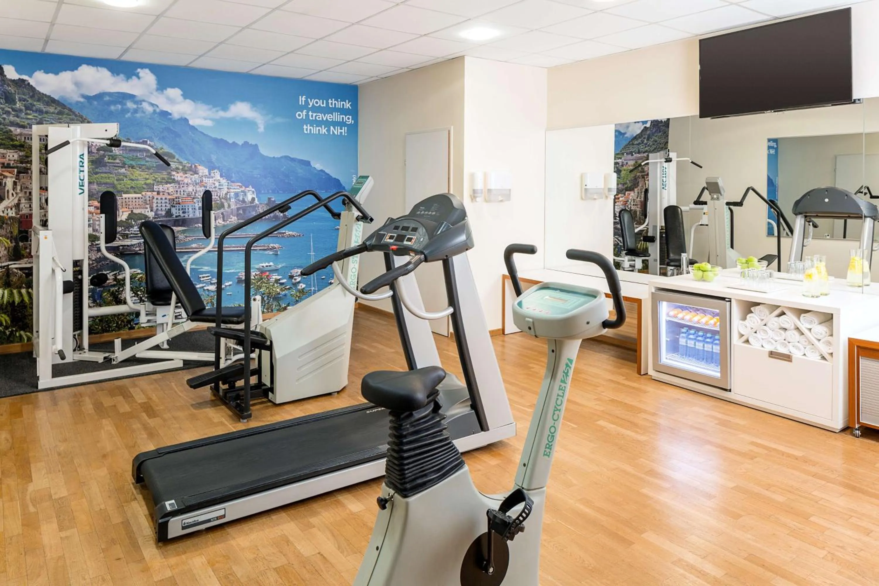 Fitness centre/facilities in NH Wien Belvedere