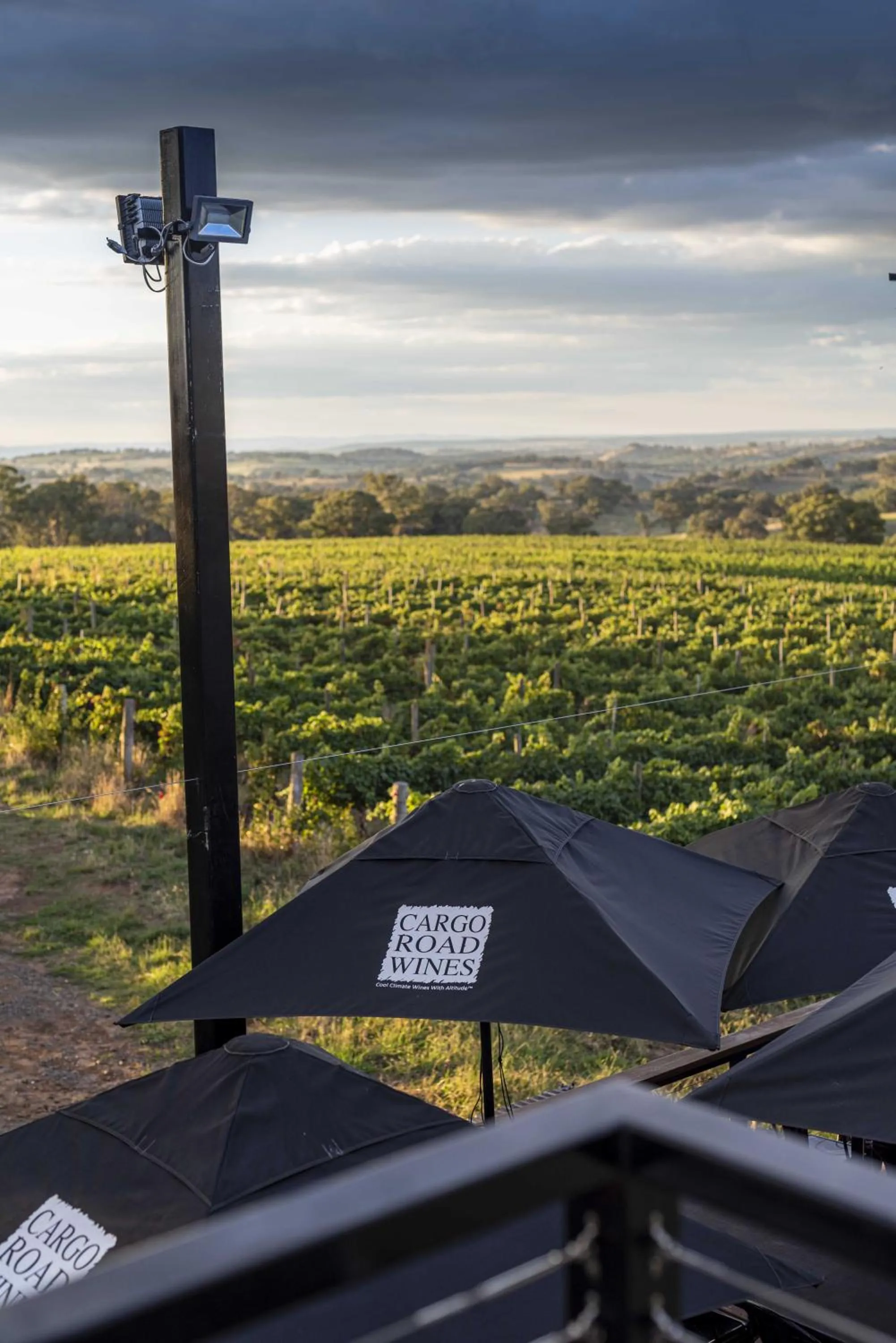 Natural landscape in The Zin Loft