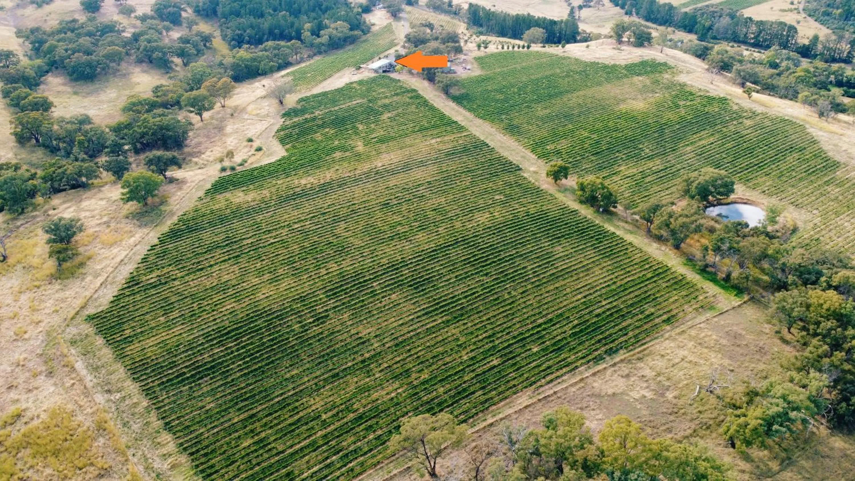 Natural landscape in The Zin Loft