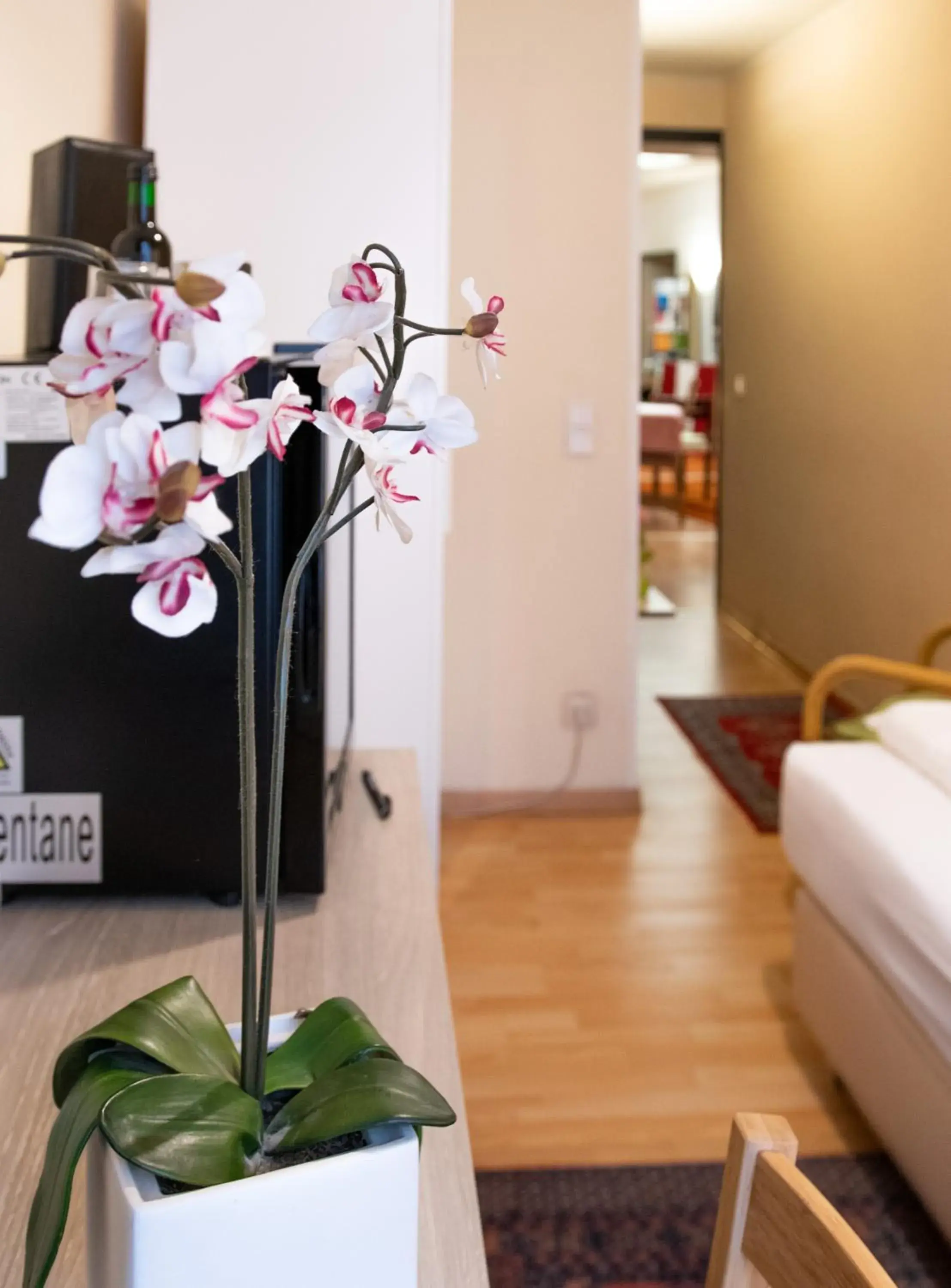 TV and multimedia, Bed in Pension Hotel Mariahilf TV and multimedia, Bed in Pension Hotel Mariahilf