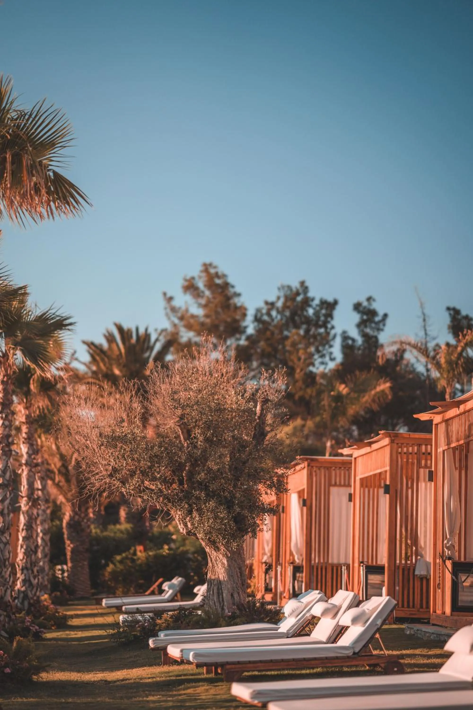 Natural landscape in The Norm Collection Door'a Bodrum