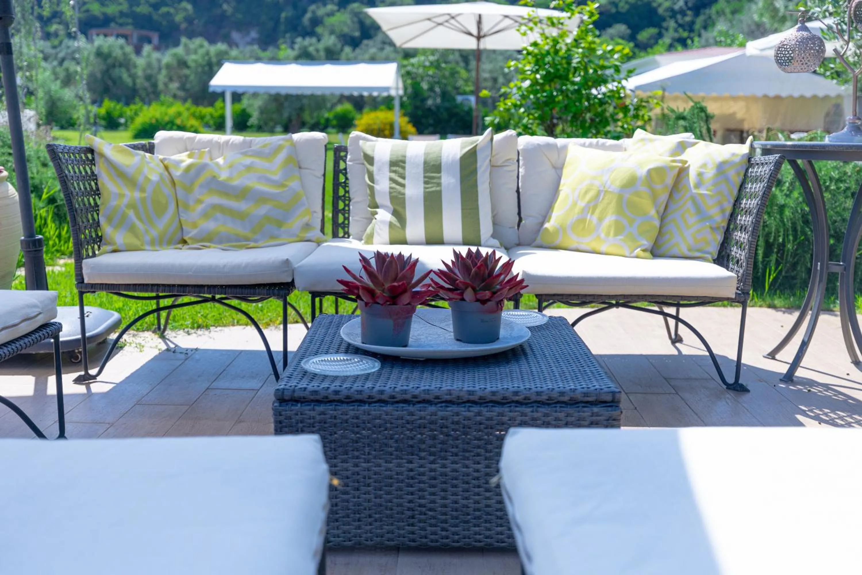 Garden in Cantine Cipri Resort