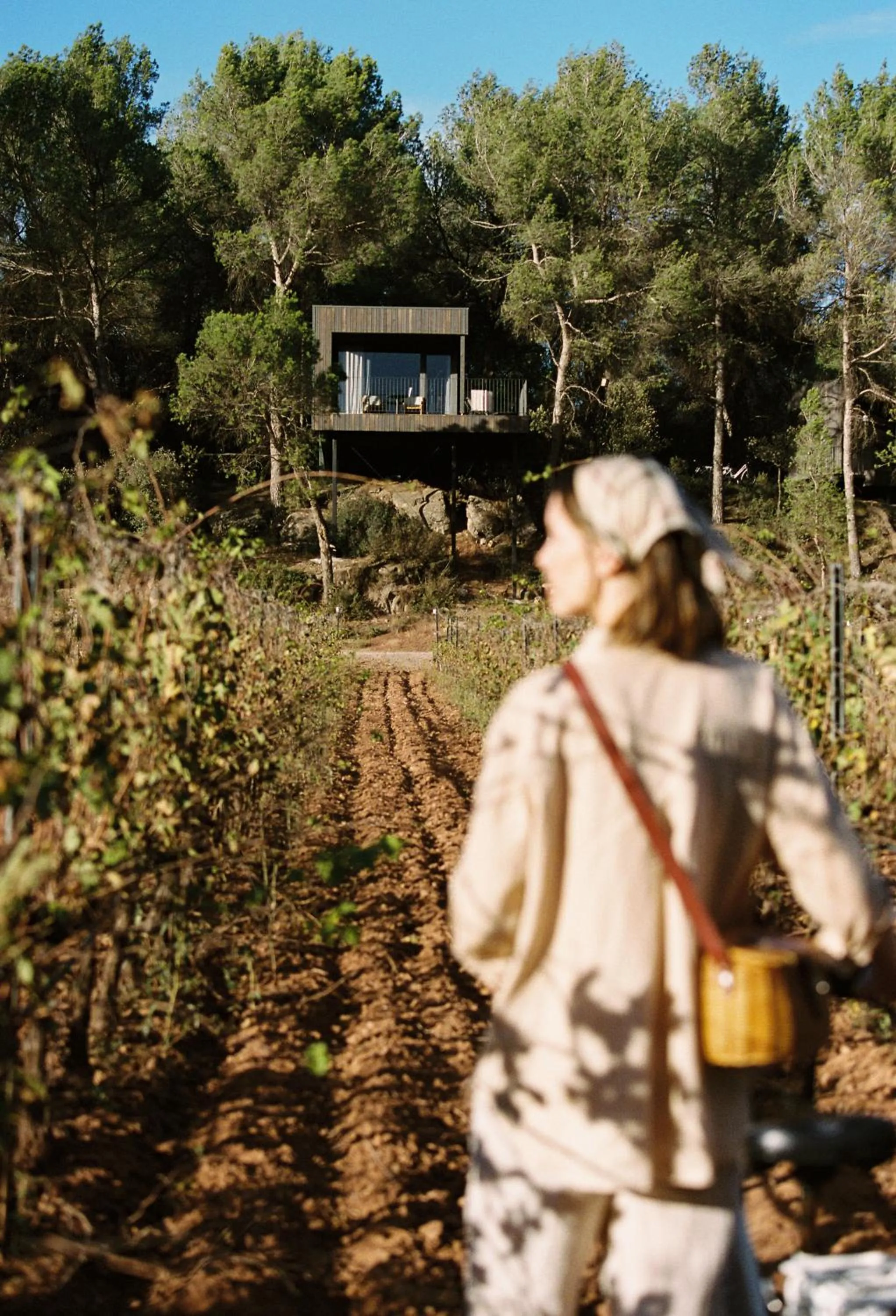 Property building in Les Cabanes de l'Oller del Mas