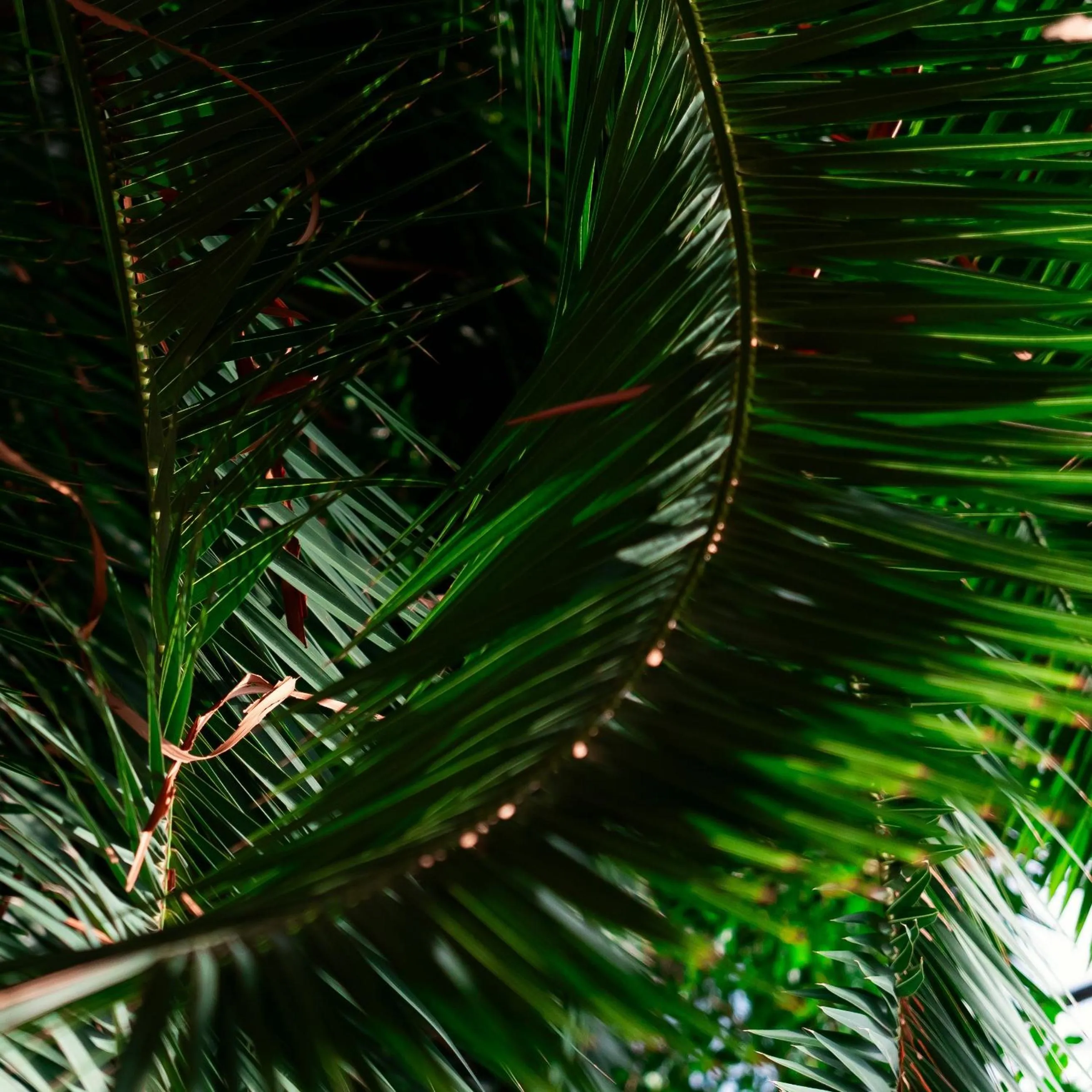 Lobby or reception in Eventhotel Pyramide