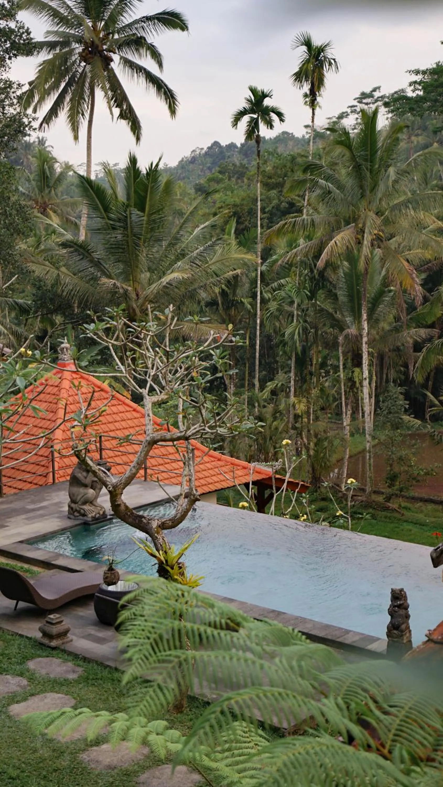 Swimming pool in Sebatu Tulen Villa