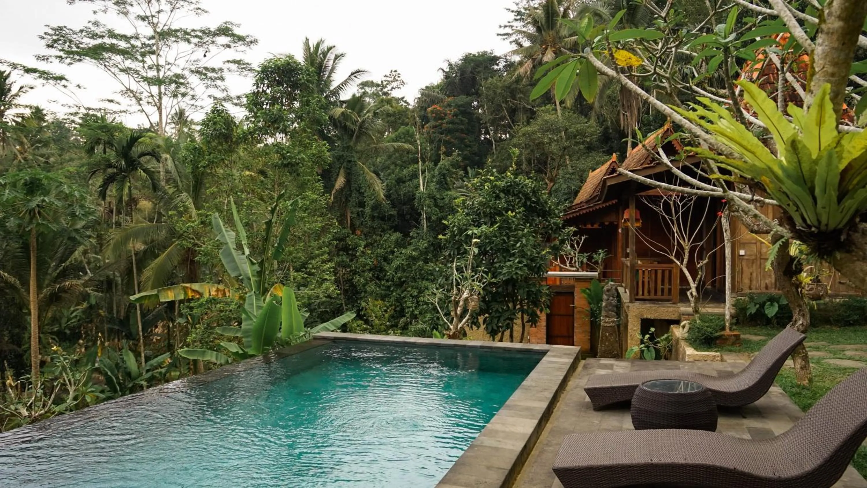 Swimming pool in Sebatu Tulen Villa