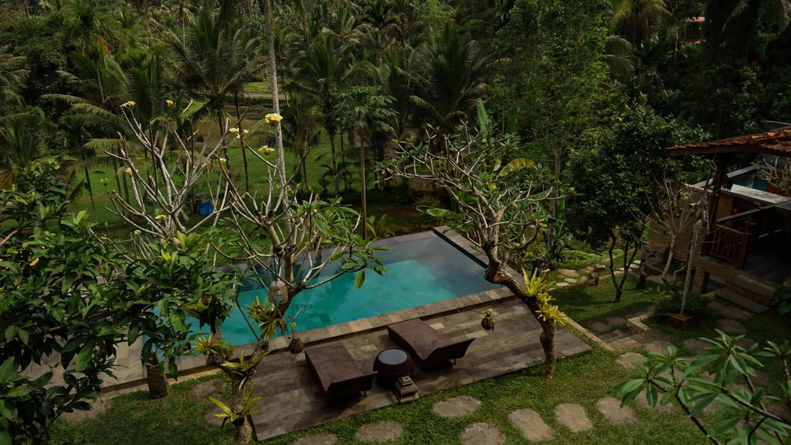Swimming pool in Sebatu Tulen Villa