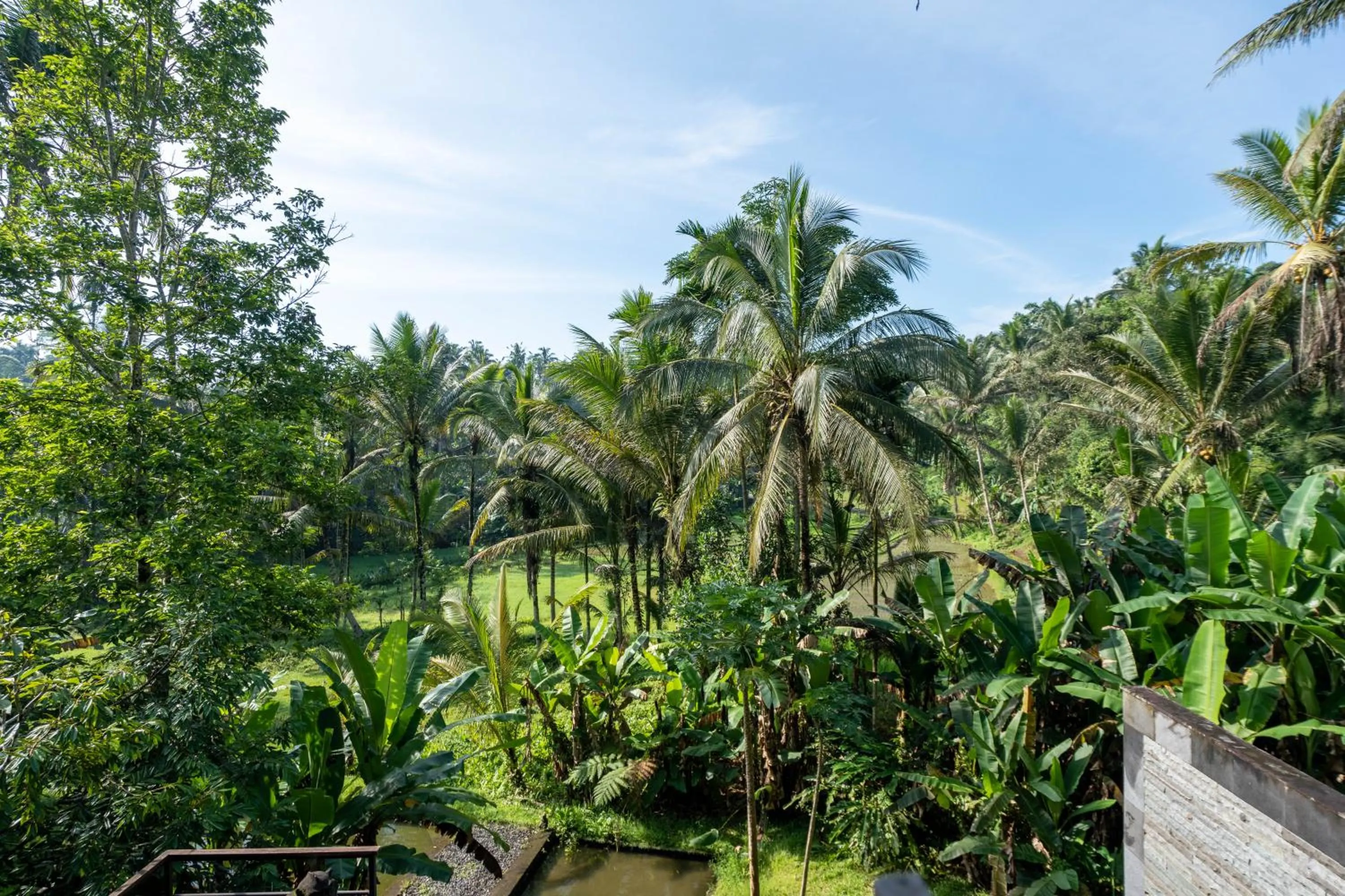 Natural landscape in Sebatu Tulen Villa