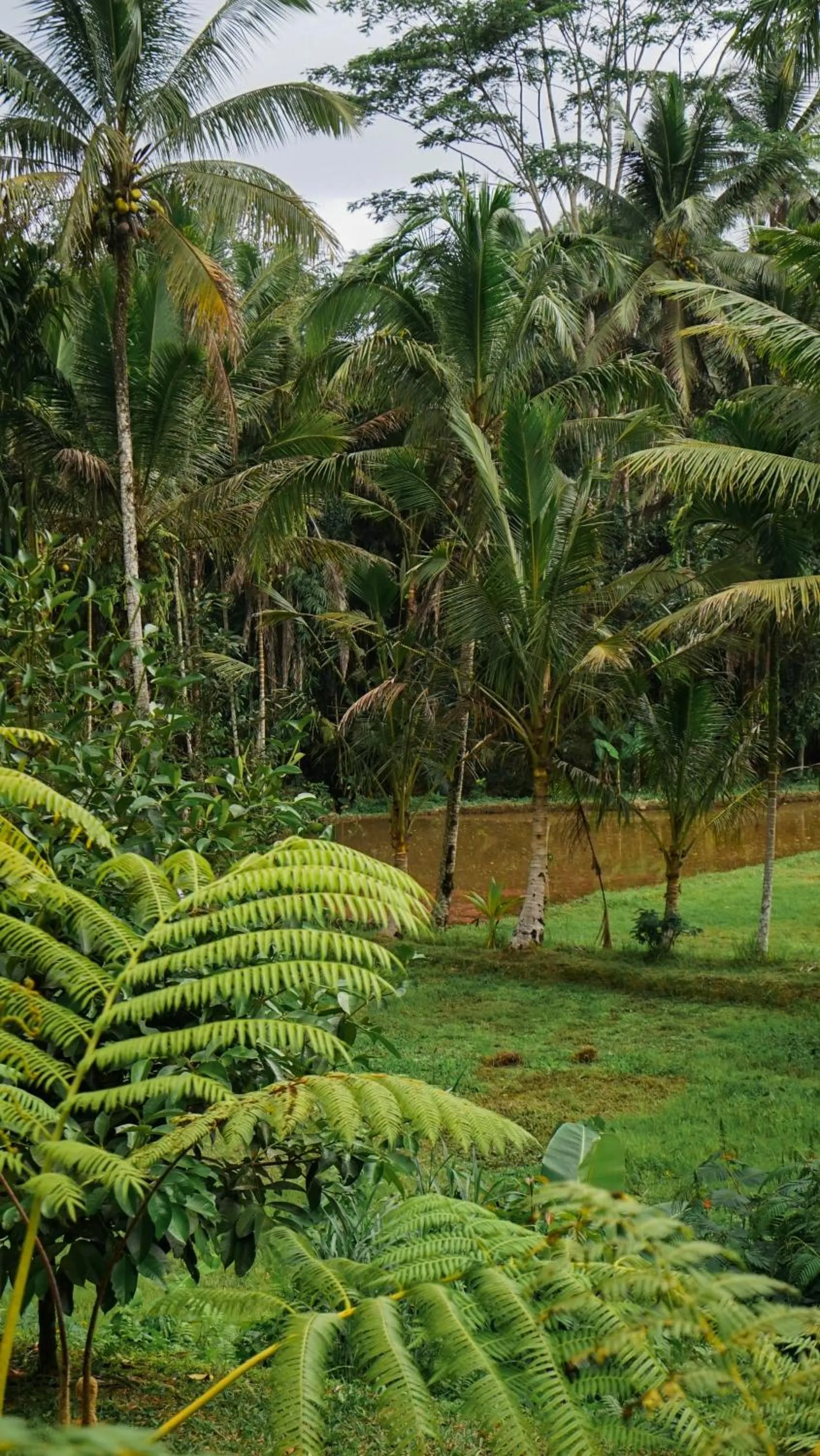 Garden in Sebatu Tulen Villa